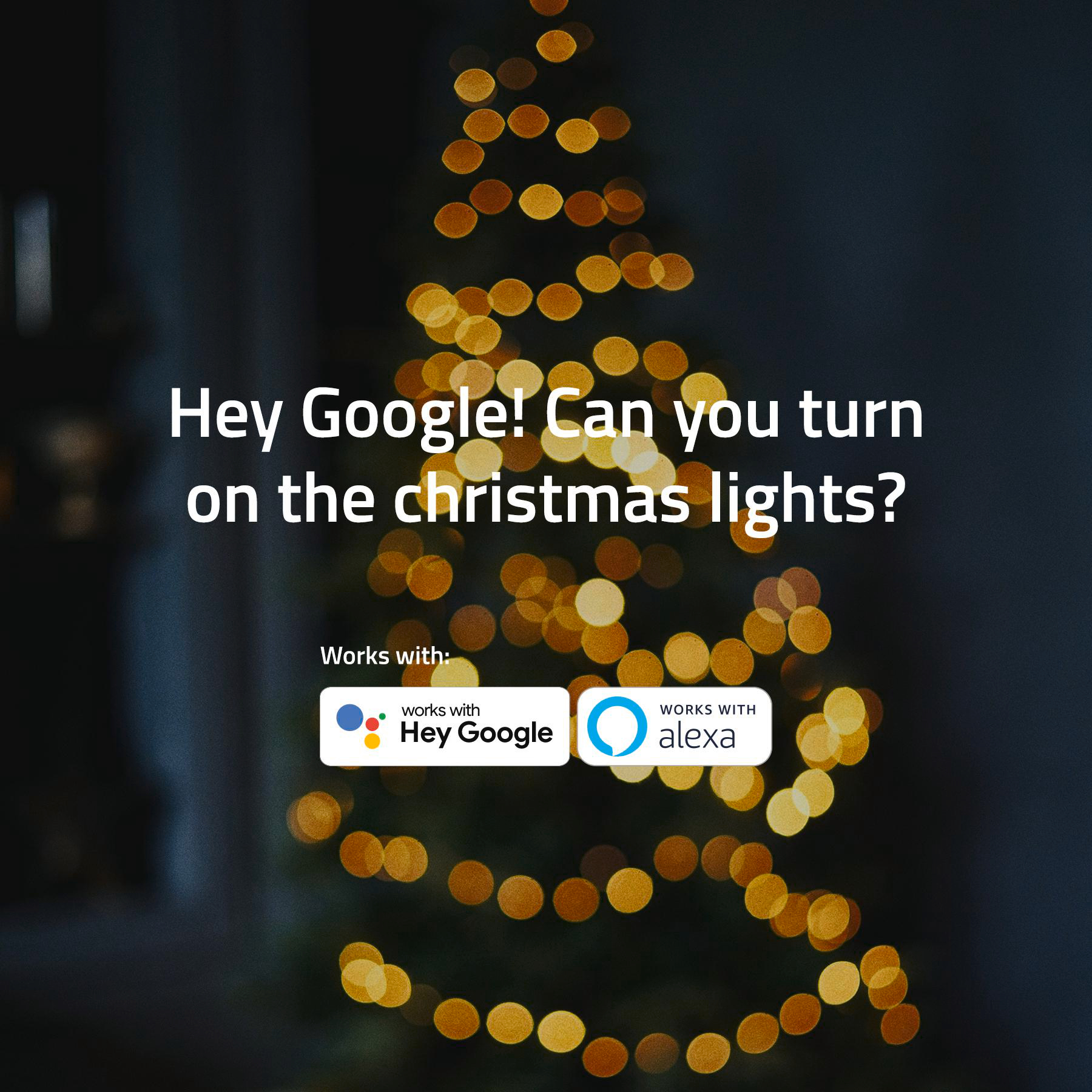 Das Bild zeigt einen Weihnachtsbaum mit Lichtern. Text: 'Hey Google! Kannst du die Weihnachtslichter einschalten?'