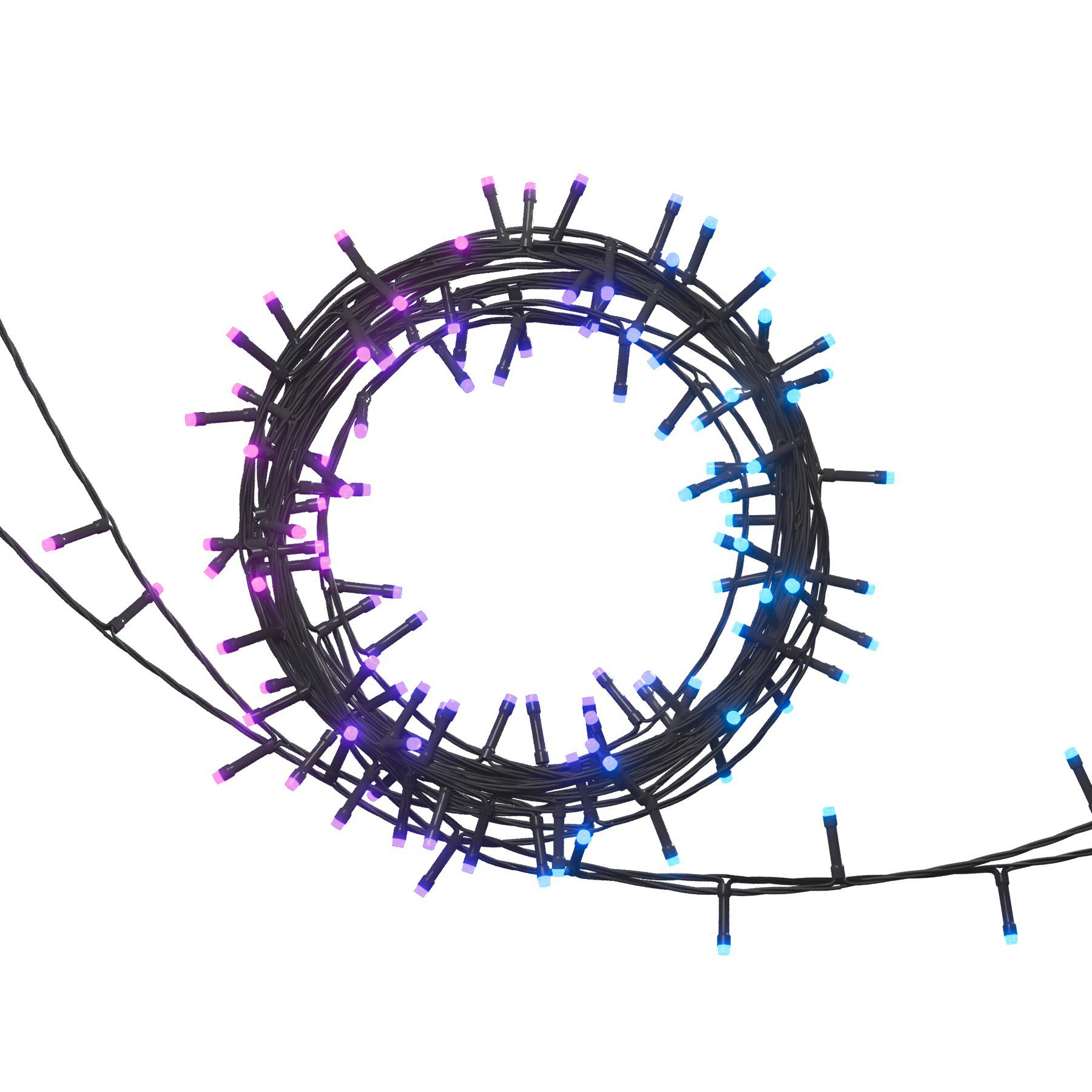 Lichterketten auf weißem Hintergrund. Die Lichter sind schwarz mit lila und blauen Glühbirnen in kreisförmiger Anordnung.