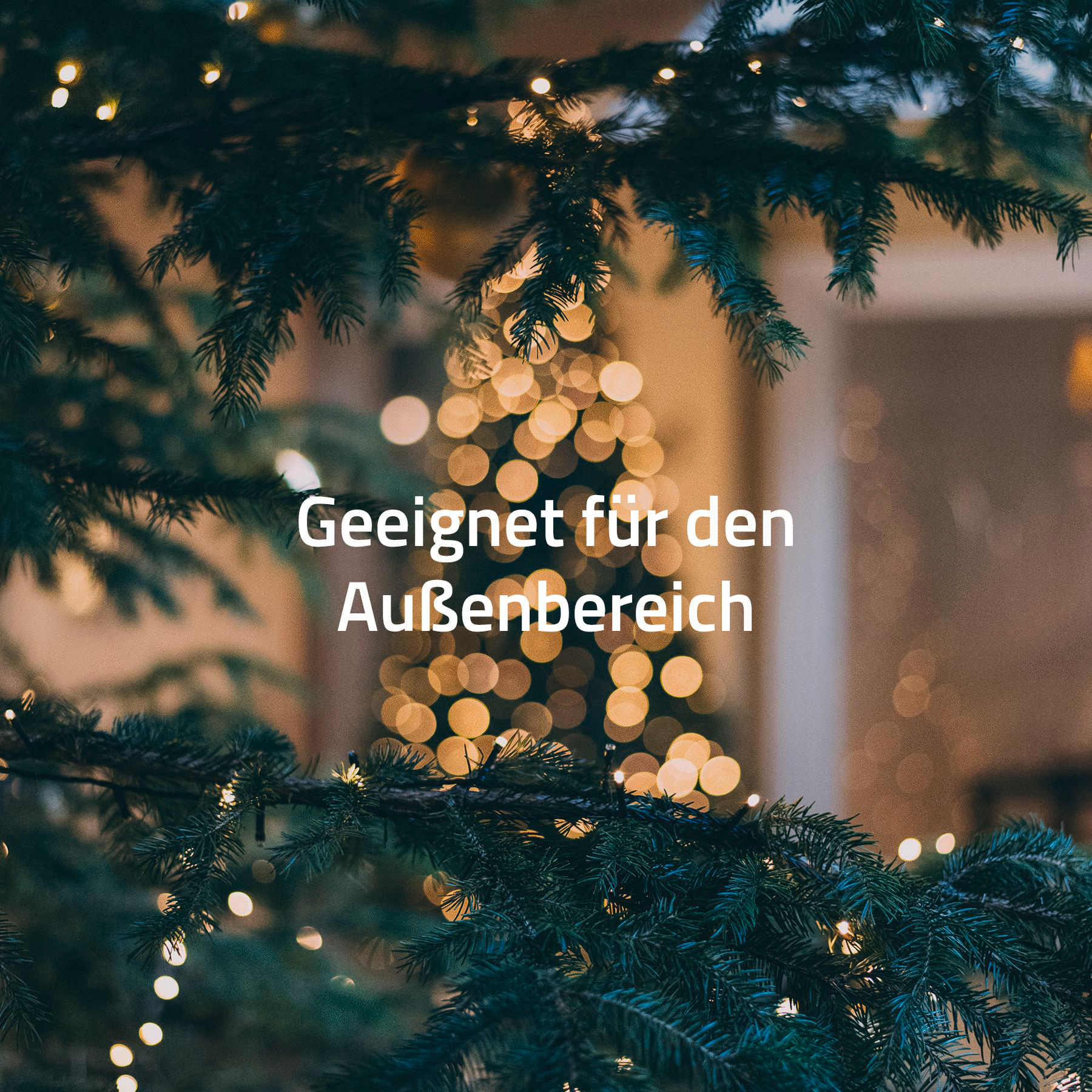 Weihnachtsbaum mit Lichtern, Text 'Geeignet für den Außenbereich'. Vordergrund, Äste. Hintergrund, verschwommene Lichter.