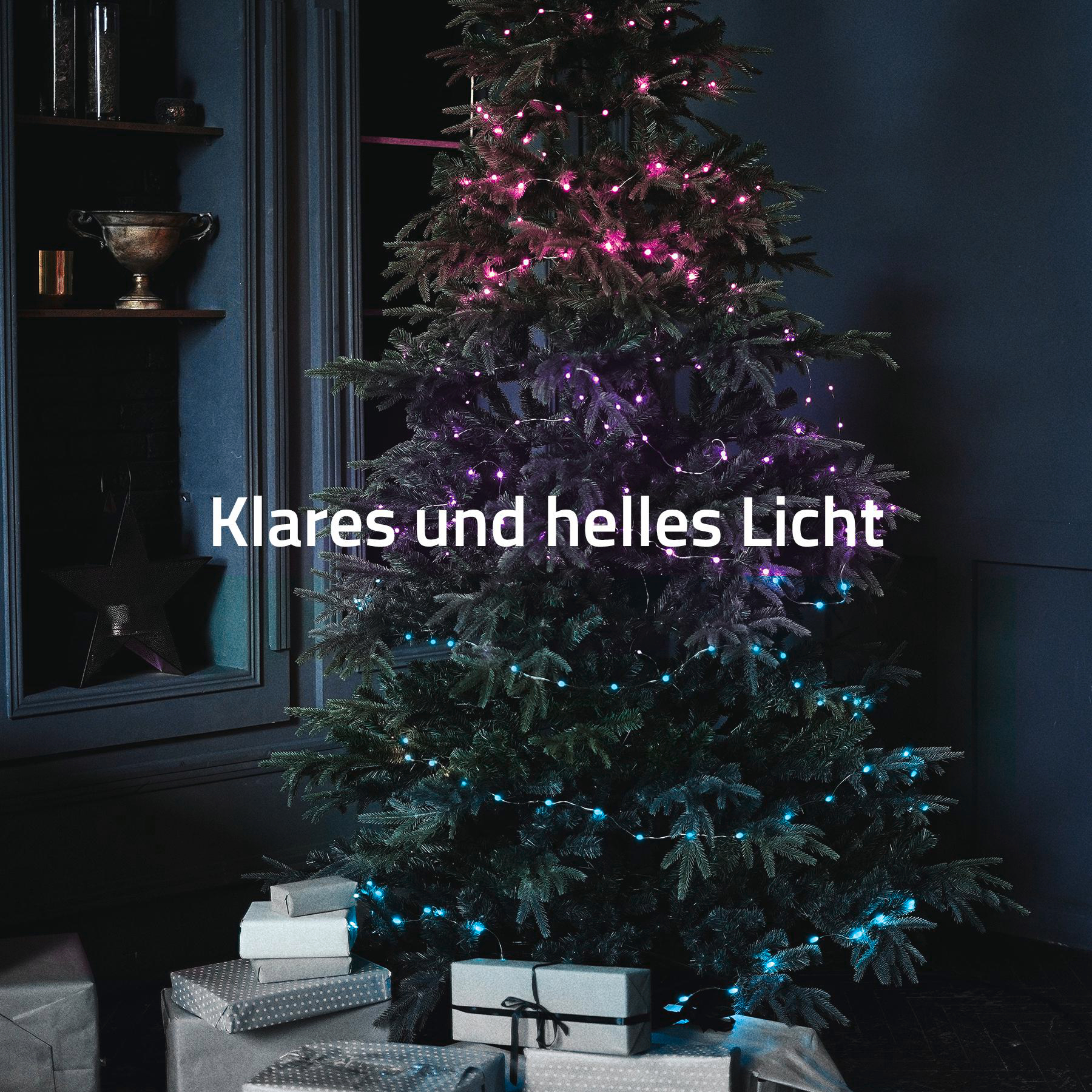 Ein geschmückter Weihnachtsbaum mit rosa, lila und blauen Lichtern. Geschenke befinden sich am Fuß. Dunkler Hintergrund.