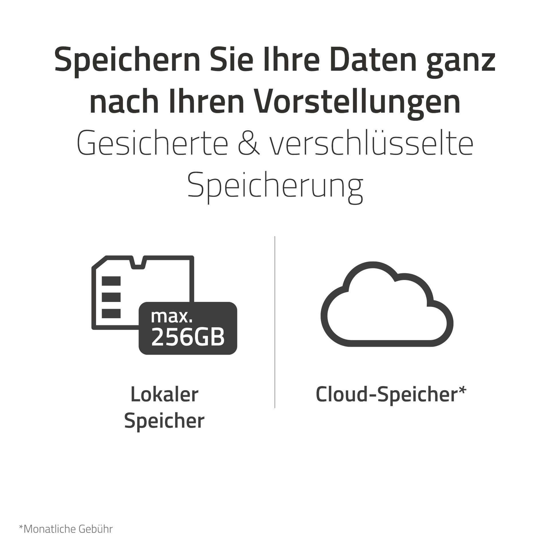 Text und Symbole zu lokalen und Cloud-Speicheroptionen für Datensicherung.