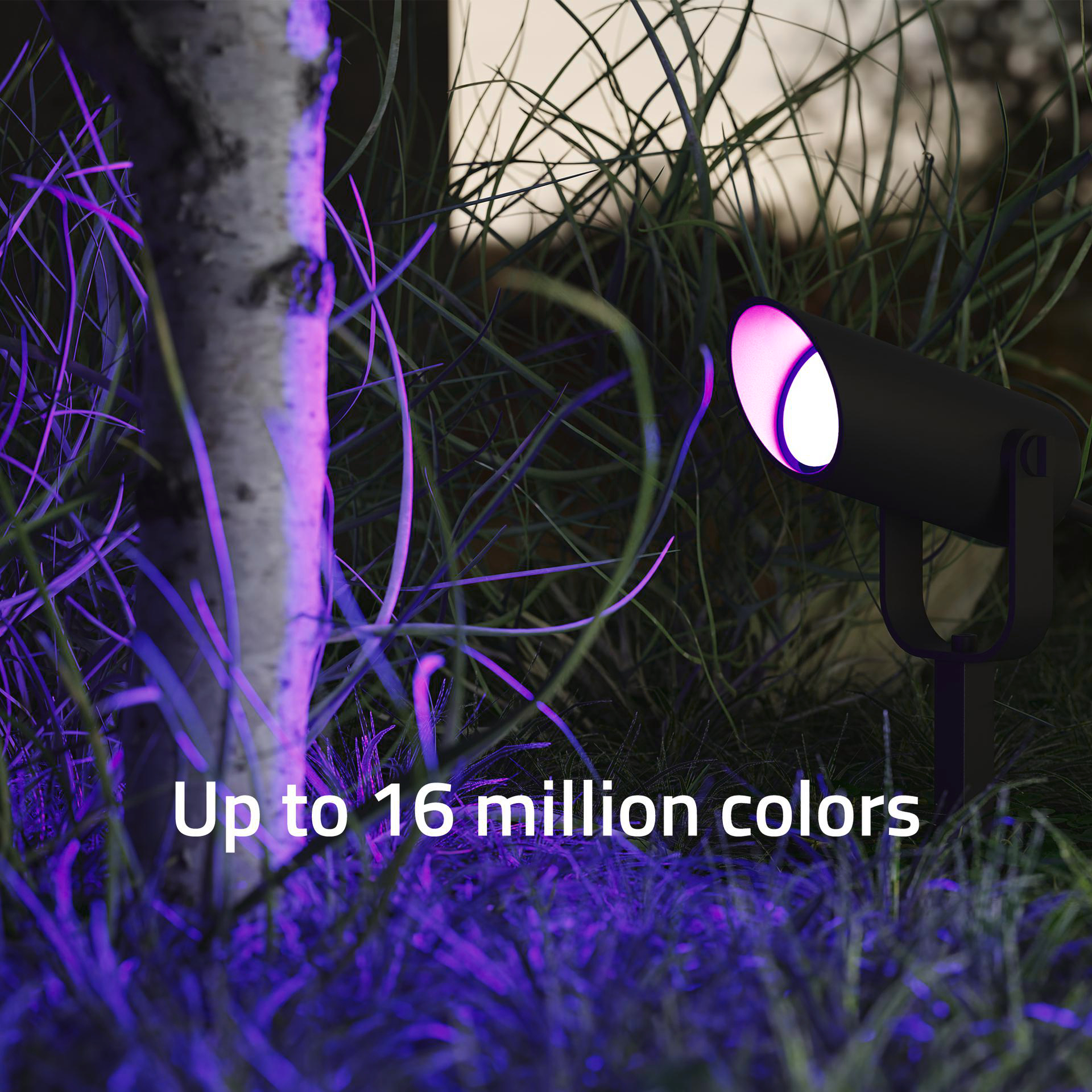 Ein schwarzer Scheinwerfer beleuchtet Gras mit violettem Licht. Die Lichtquelle ist auf den Boden gerichtet. Text sagt 'Farben'.