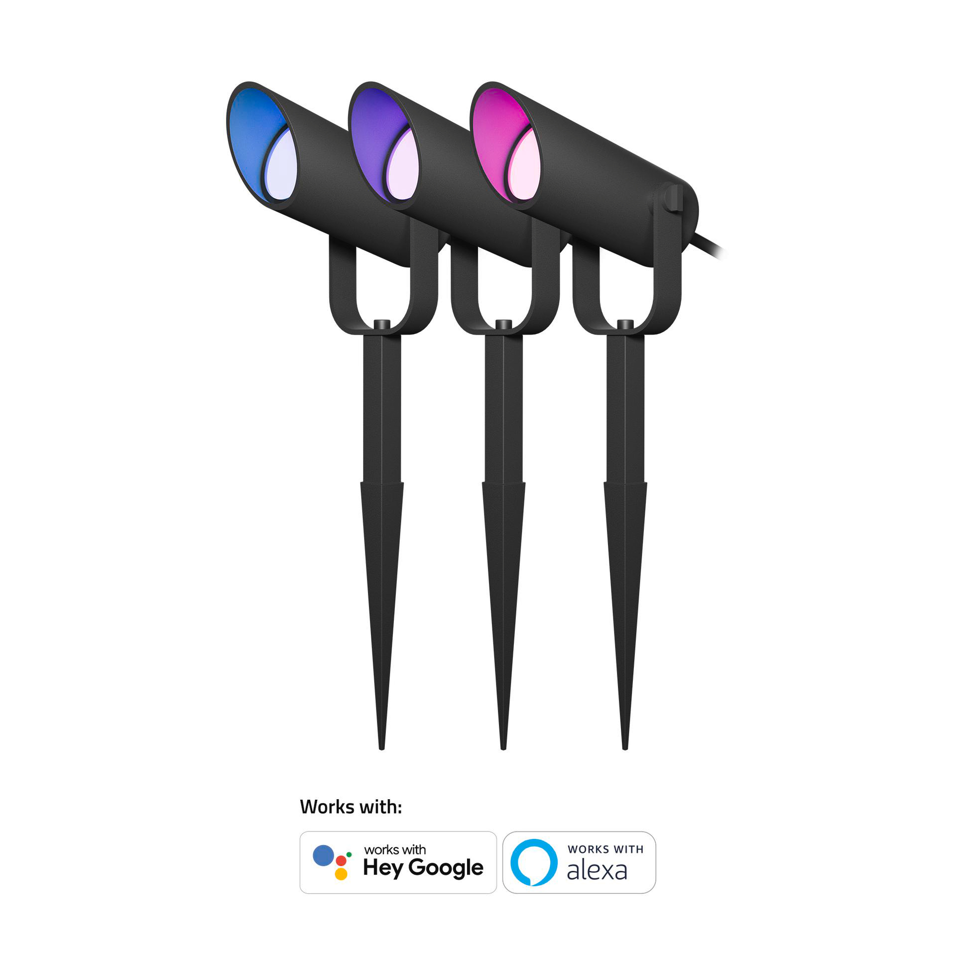 Drei schwarze Scheinwerfer mit farbigen Lichtern: blau, lila und rosa. Weißer Hintergrund. Sie stehen auf schwarzen Spikes.