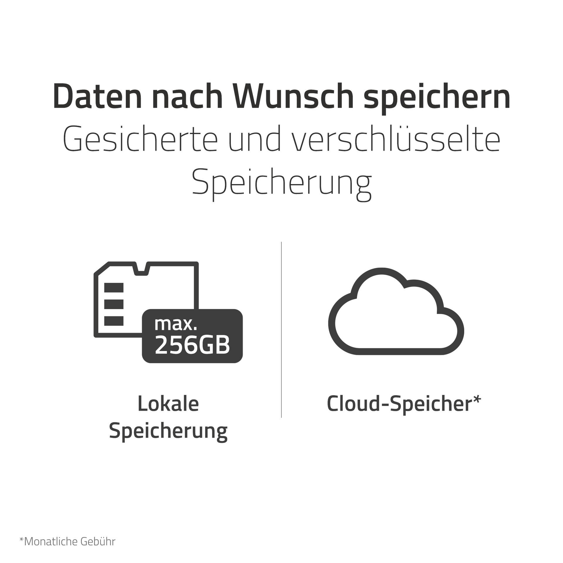 Bild mit Speicheroptionen: lokaler Speicher (256 GB) und Cloud-Speicher, mit Text auf Deutsch.