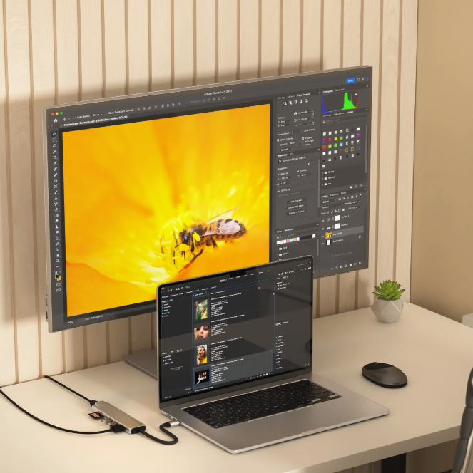 Laptop, Monitor mit Biene auf Blüte. USB-Hub und Maus auf dem Schreibtisch vor Wand.