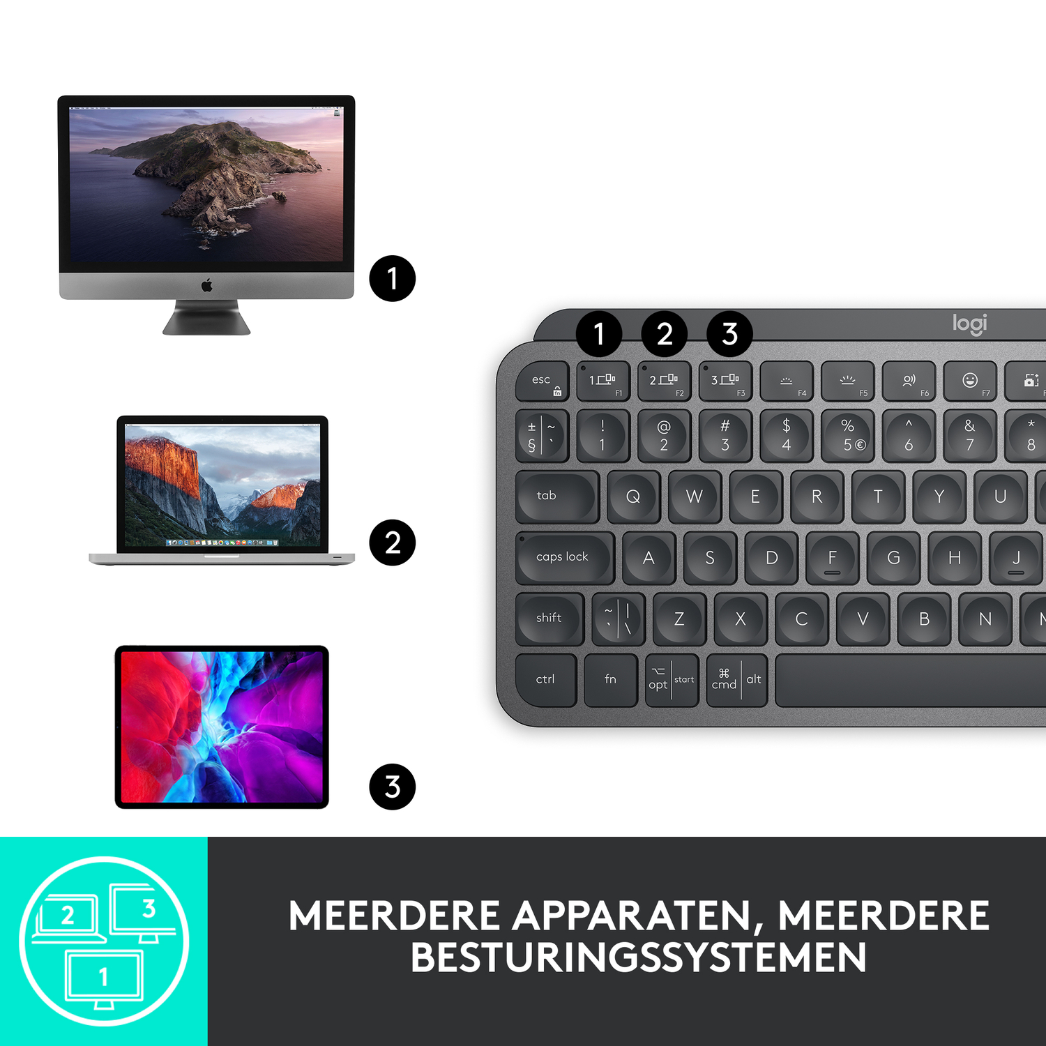 Keyboard, mouse, and batteries in a box.