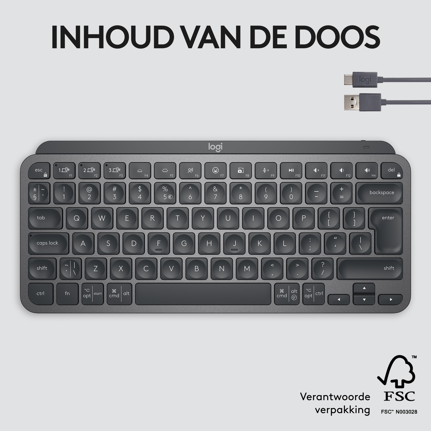 Keyboard with keys, gray, with a USB cable.