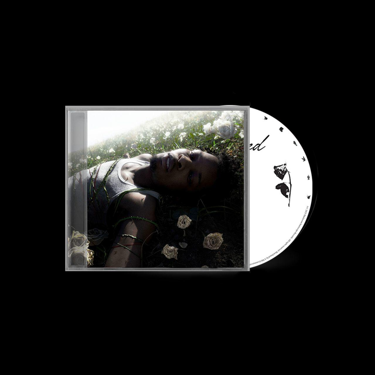 CD-Cover, eine Person liegt in einem Blumenfeld, Titel: ed.