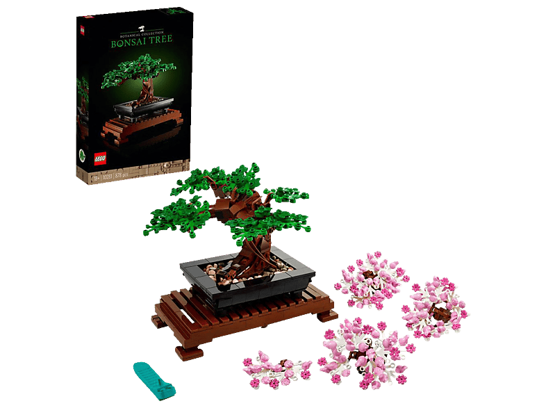dracena draco Dracaena Draco – The Madd Potter main image 0