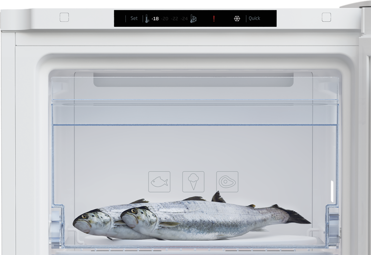 Ein Gefrierschrank mit zwei Fischen auf einem Regal.