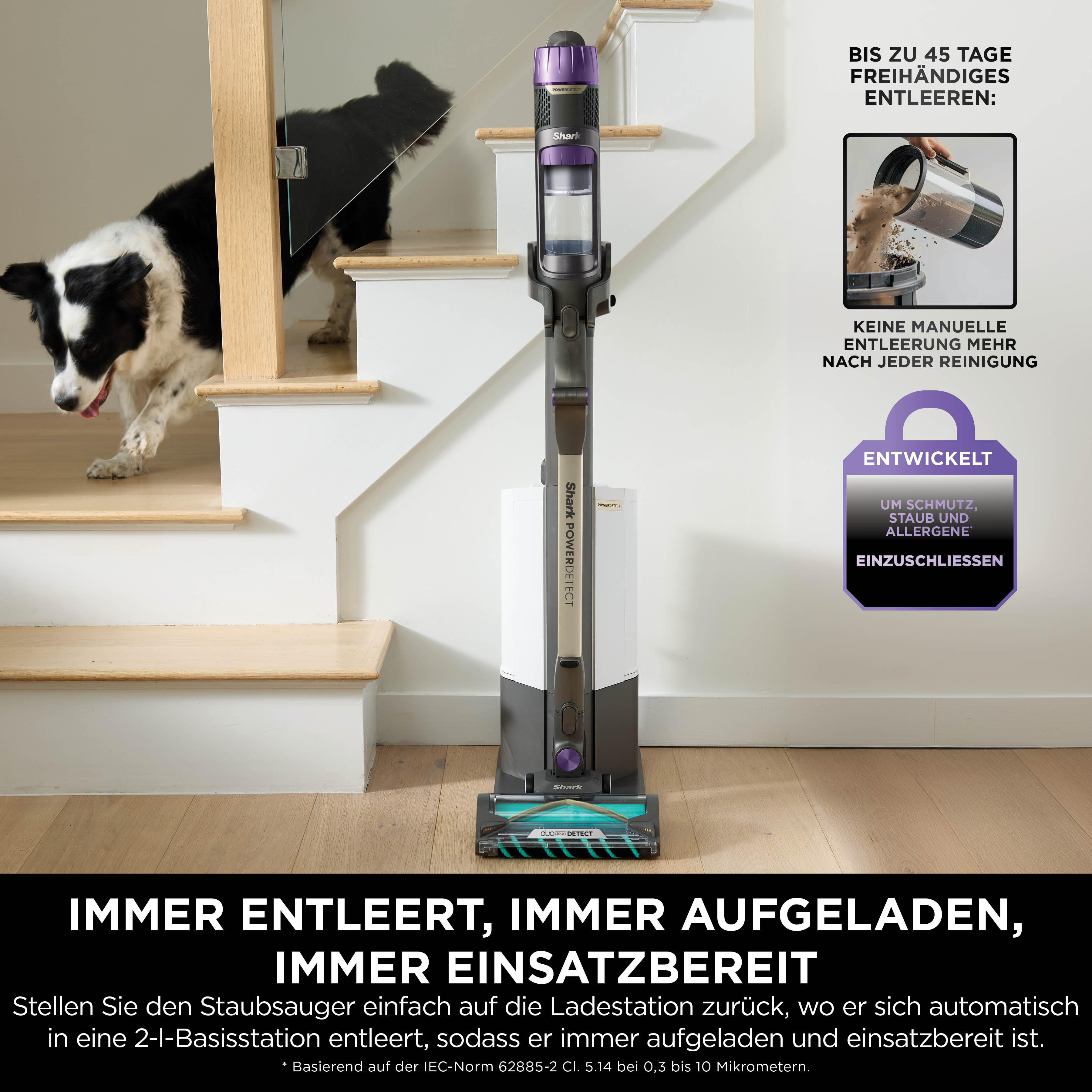 Staubsauger auf Treppe. Hund im Hintergrund. Produkttext und Grafiken vorhanden.
