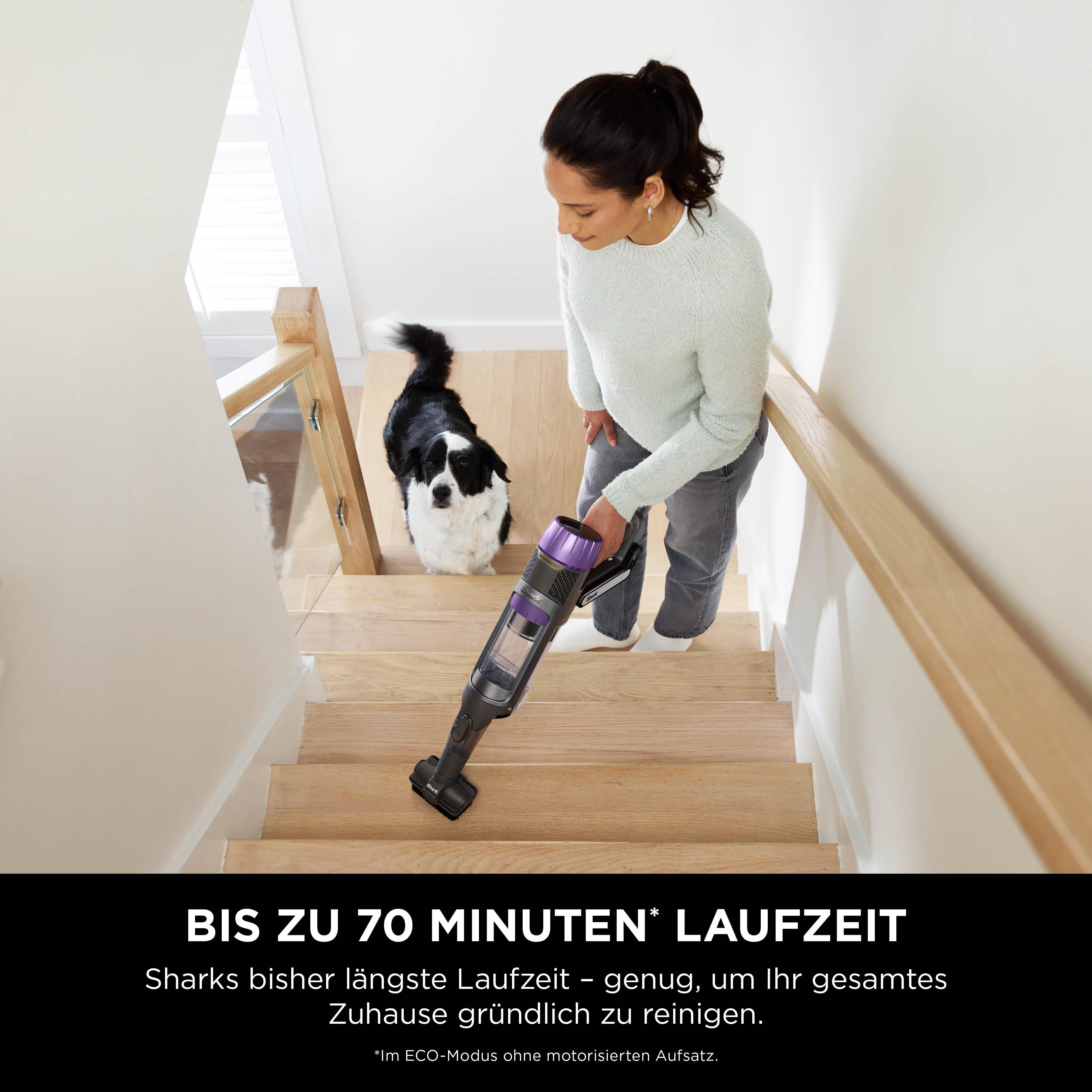 Frau saugt Treppe. Schwarz-violetter Staubsauger. Hund anwesend.