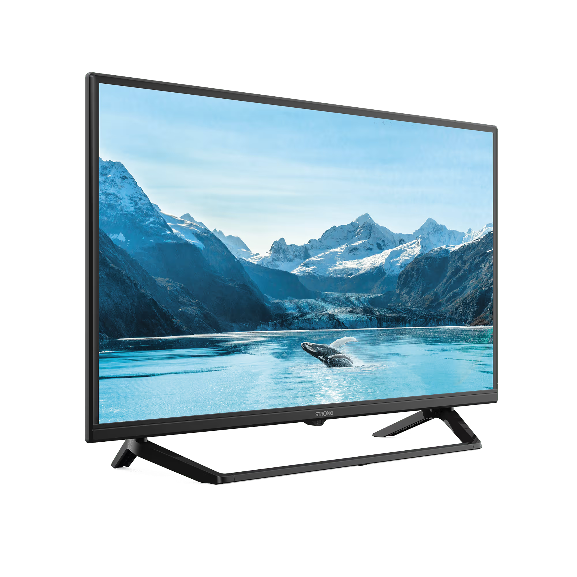 Fernseher zeigt eine Landschaft mit Bergen und einem Wal im Wasser.