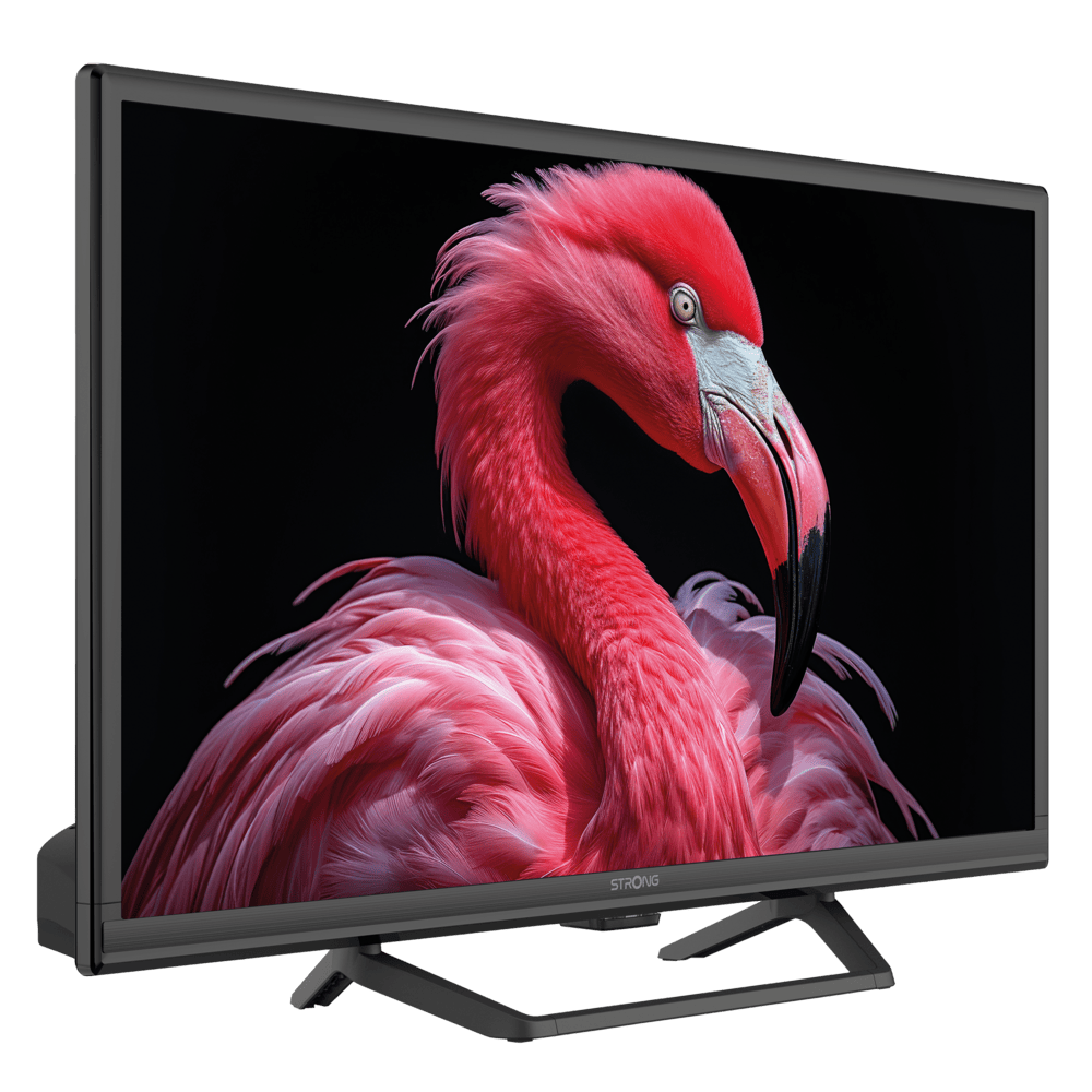 Schwarzer Fernseher mit einem Flamingo-Bild auf dem Bildschirm. Der Flamingo ist rosa vor schwarzem Hintergrund.