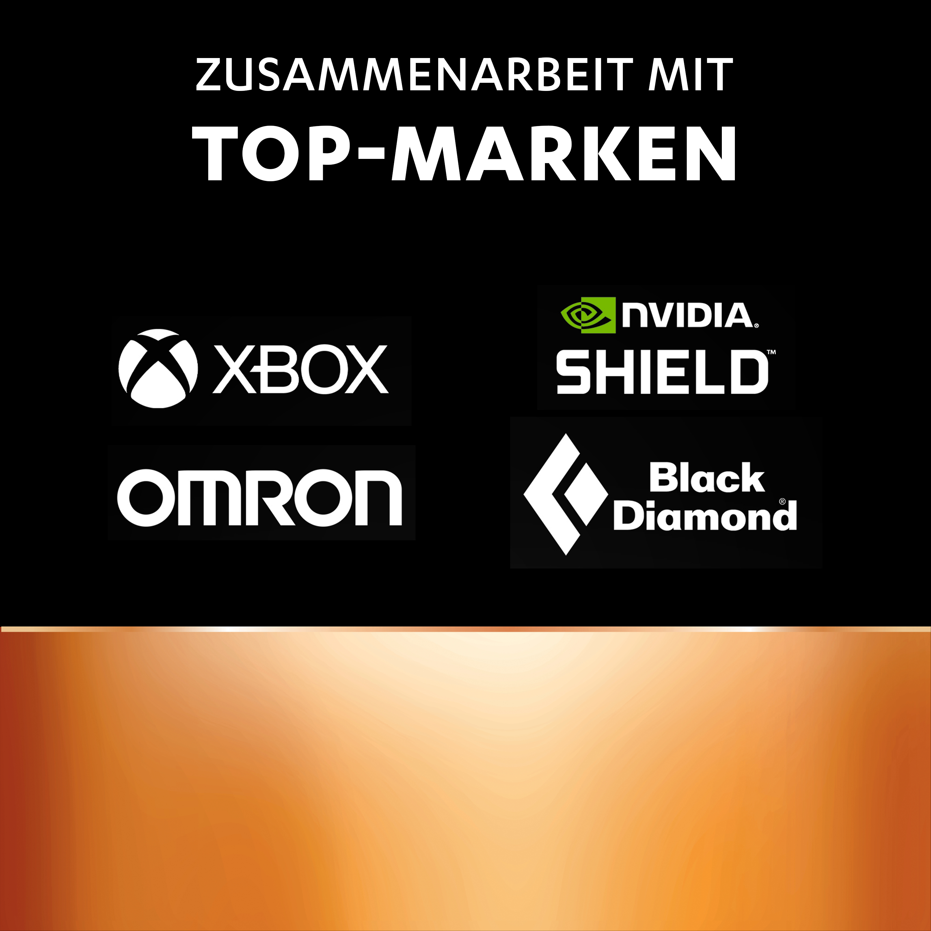 Logos von Xbox, Nvidia, Omron und Black Diamond auf braunem Hintergrund.