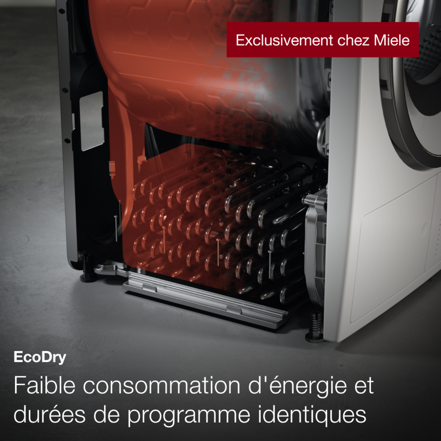 L'intérieur d'un sèche-linge Miele blanc. Il montre le système EcoDry et mentionne une faible consommation d'énergie.