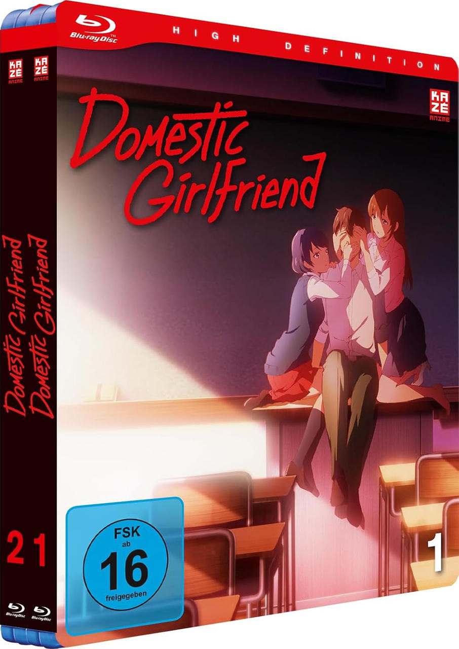 Anime-DVD-Box. Eine Gruppe von Leuten auf einem Schreibtisch, der Titel ist 'Domestic Girlfriend'.