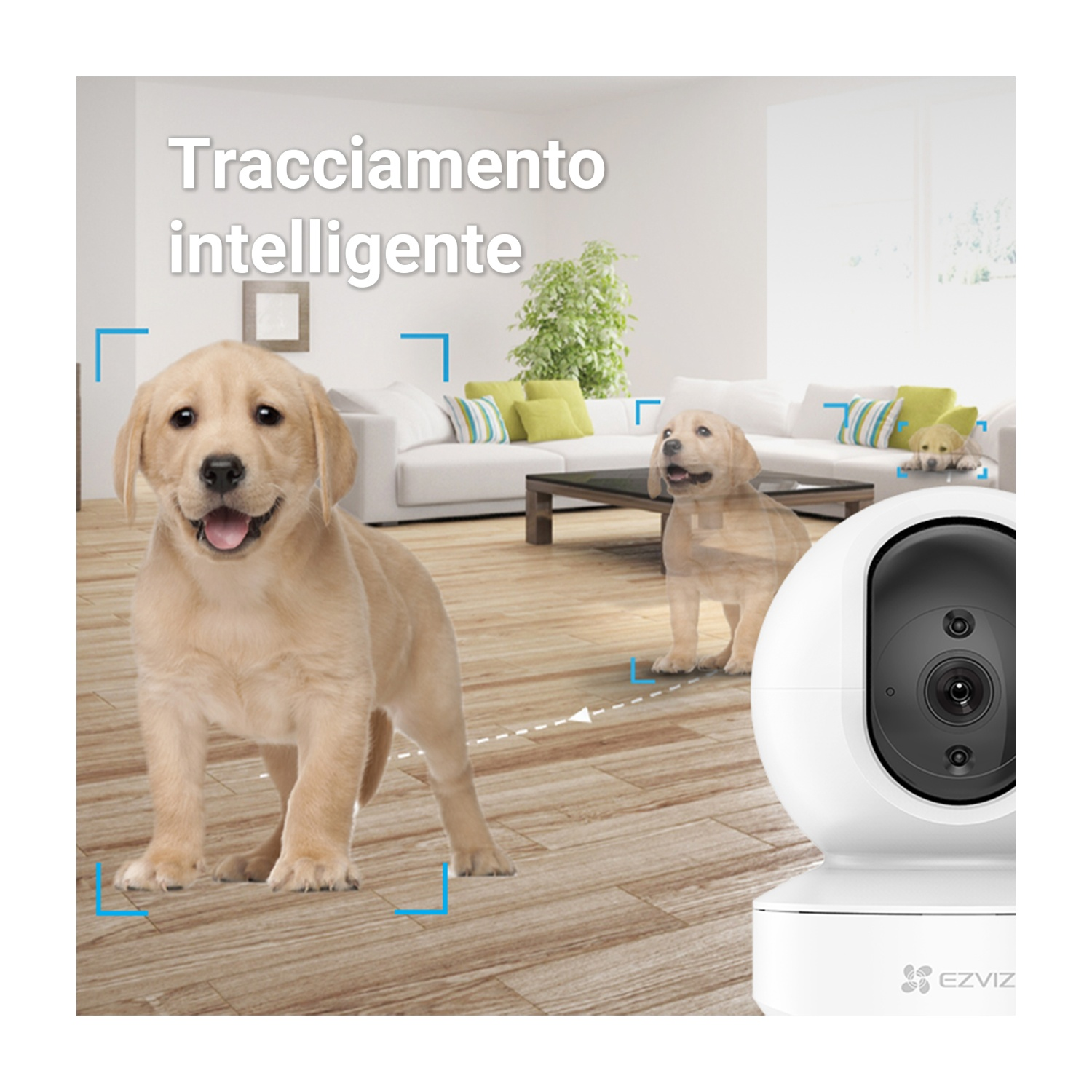 Tre cuccioli e una telecamera di sicurezza bianca in una stanza. Linee di tracciamento.