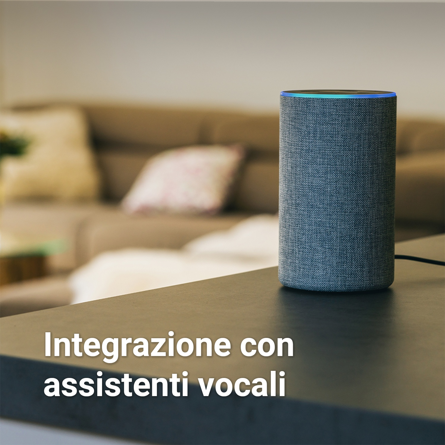 Altoparlante smart grigio su tavolo scuro. Testo: Integrazione con assistenti vocali. Sfondo divano sfocato.