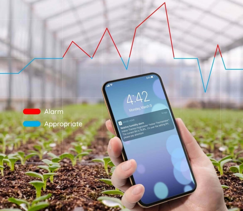 Ręka trzymająca telefon pokazujący powiadomienie o alarmie nad szklarnią z rzędami roślin.