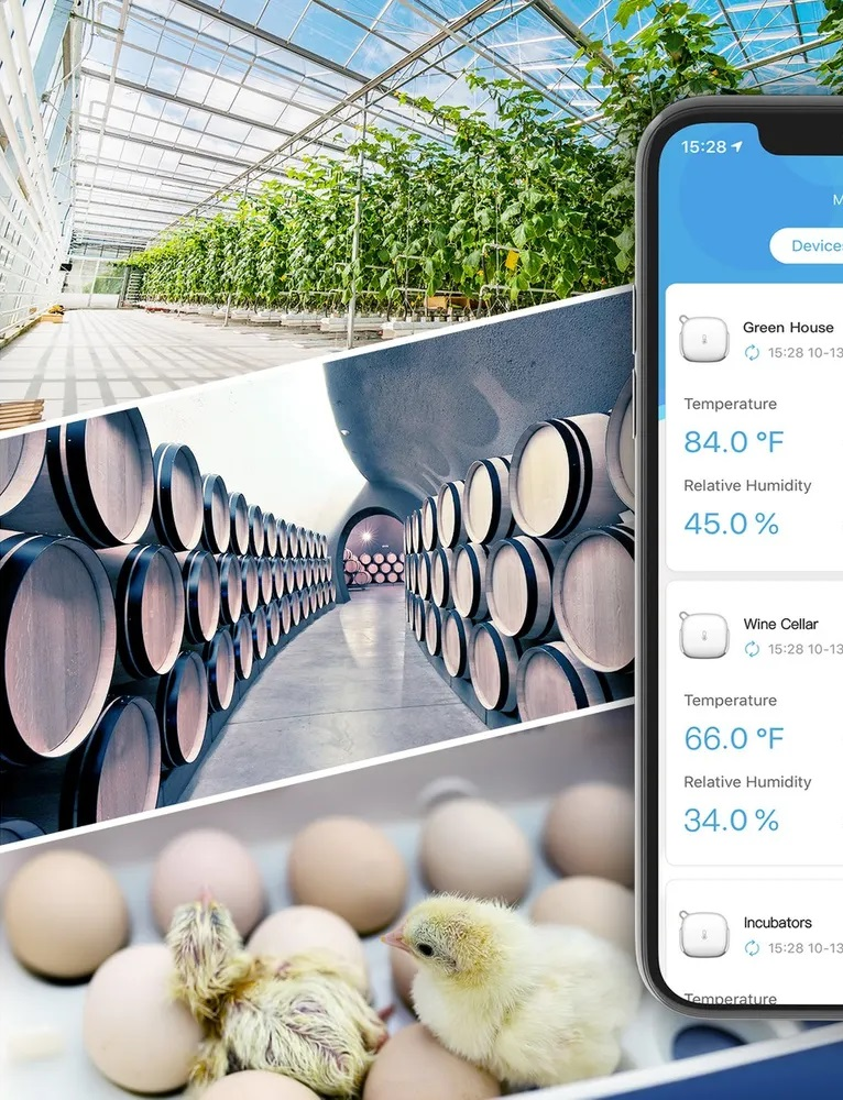 Zestawienie zdjęć: szklarnia, beczki w piwnicy i pisklęta wykluwające się z jaj.