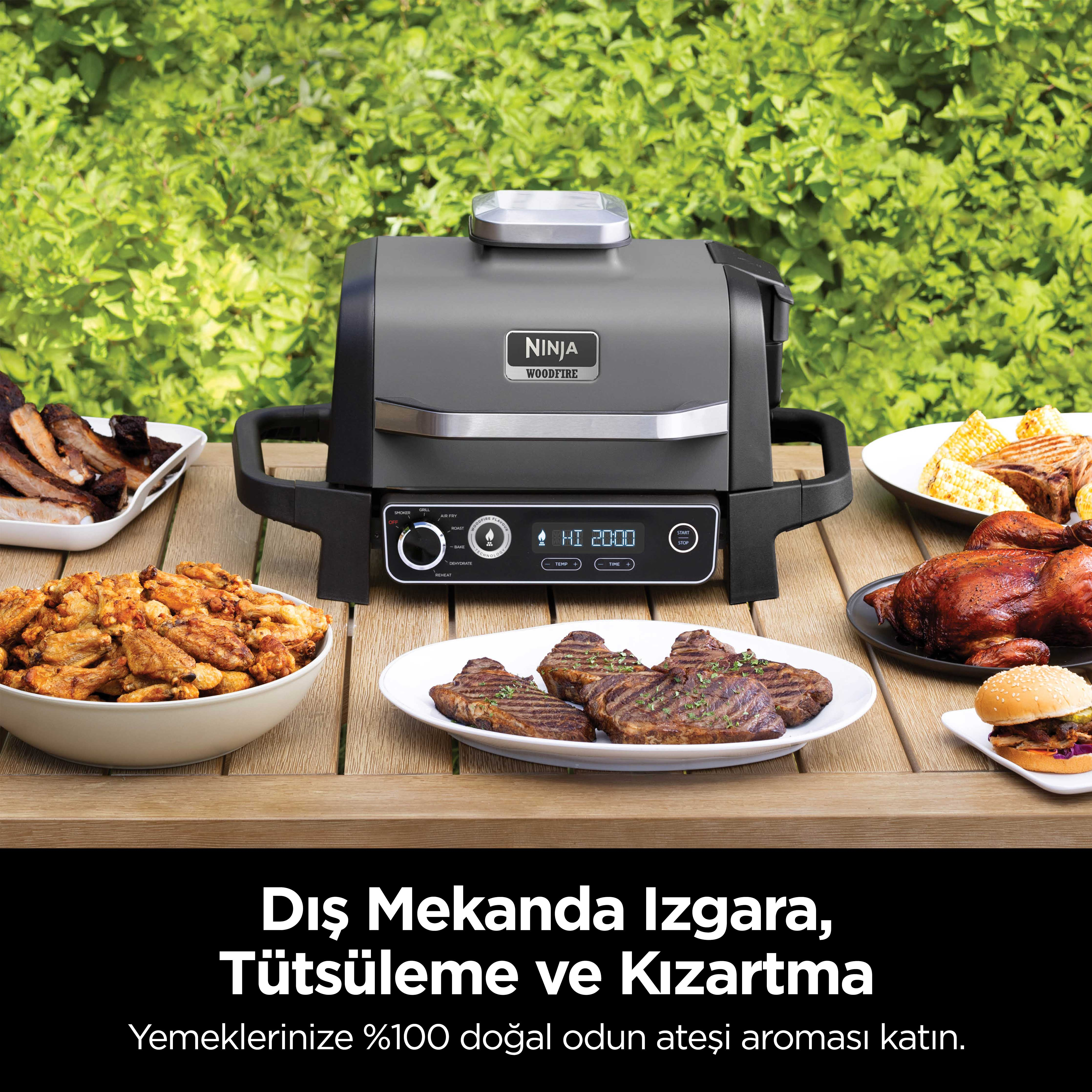 Çeşitli pişmiş yiyecekler ve yeşil bir arka plan ile açık hava ızgara kurulumu, ızgara reklamı.