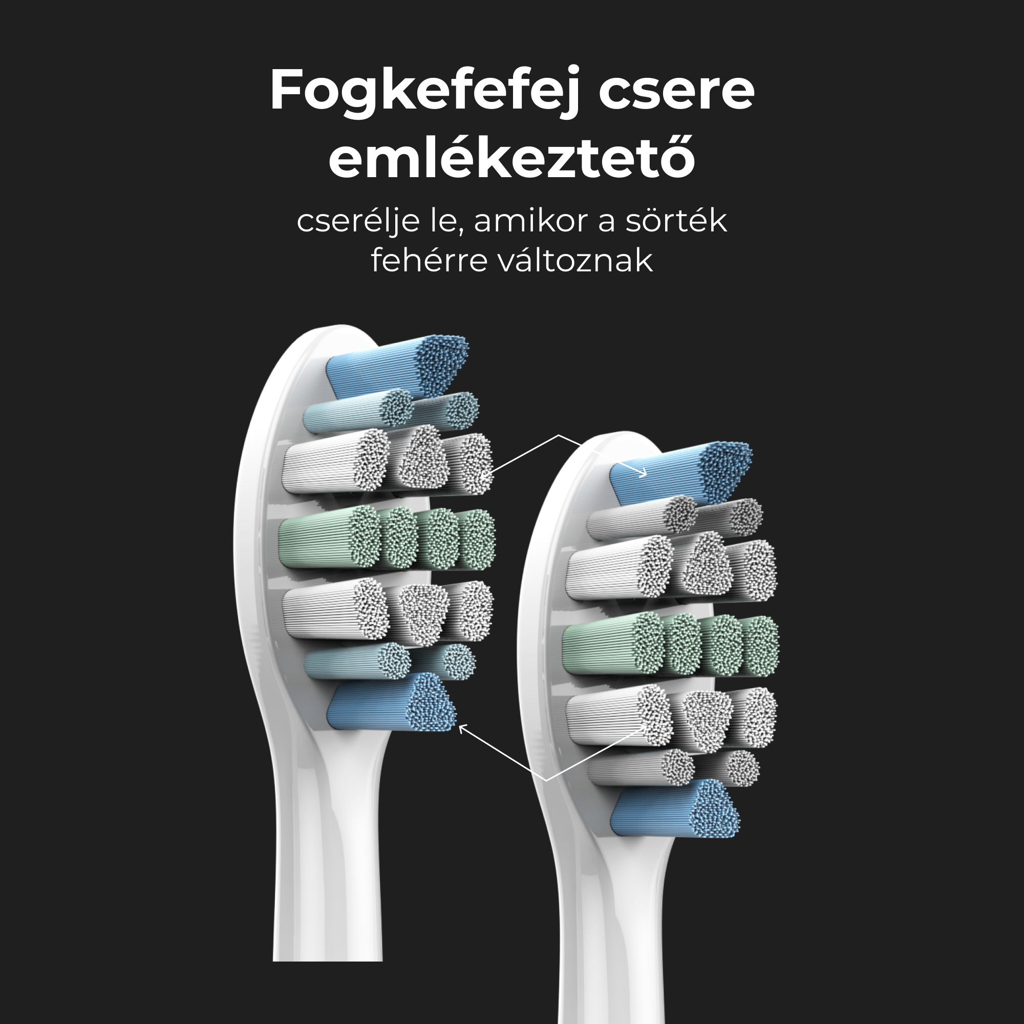 Két fogkefefej kopott, kék, zöld és fehér sörtéket mutat.