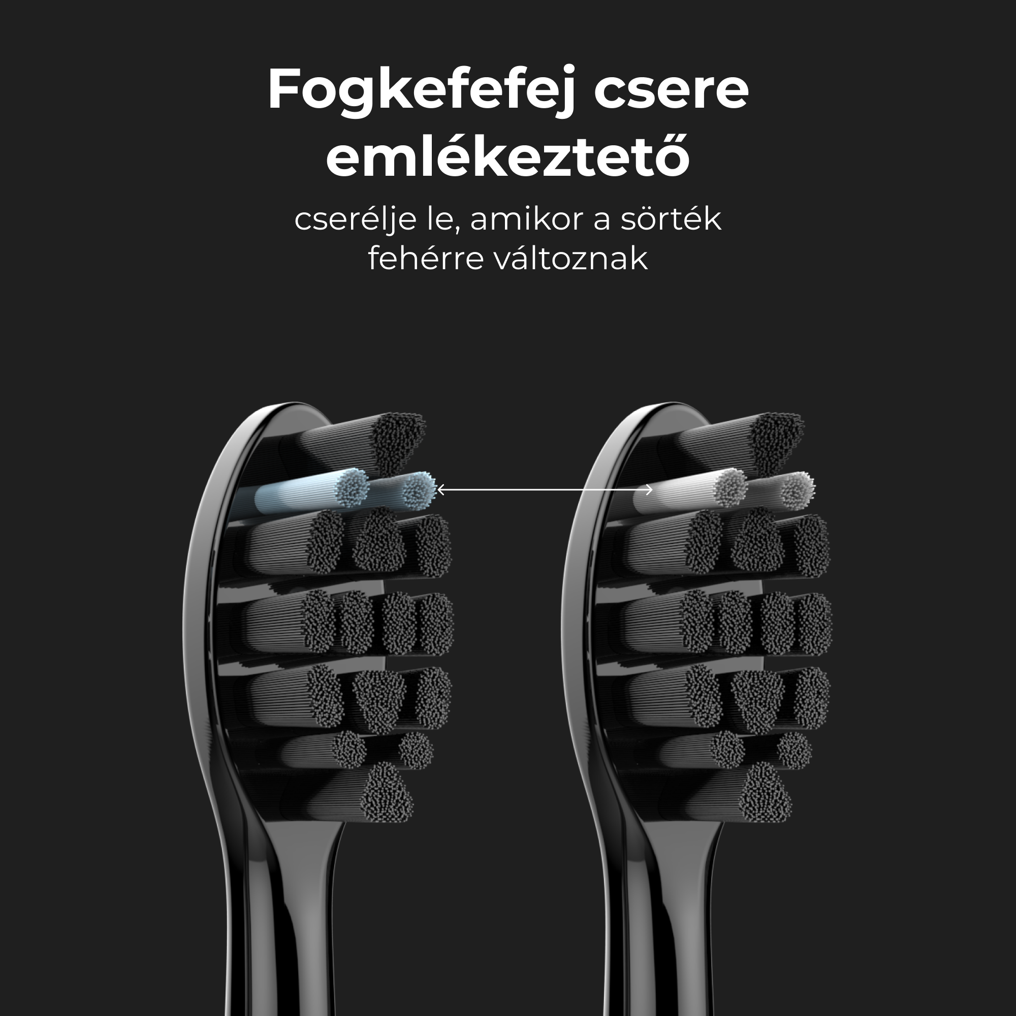 Két fogkefefej, emlékeztetőül a felhasználóknak, hogy cseréljék ki, amikor a sörték fehérek lesznek.