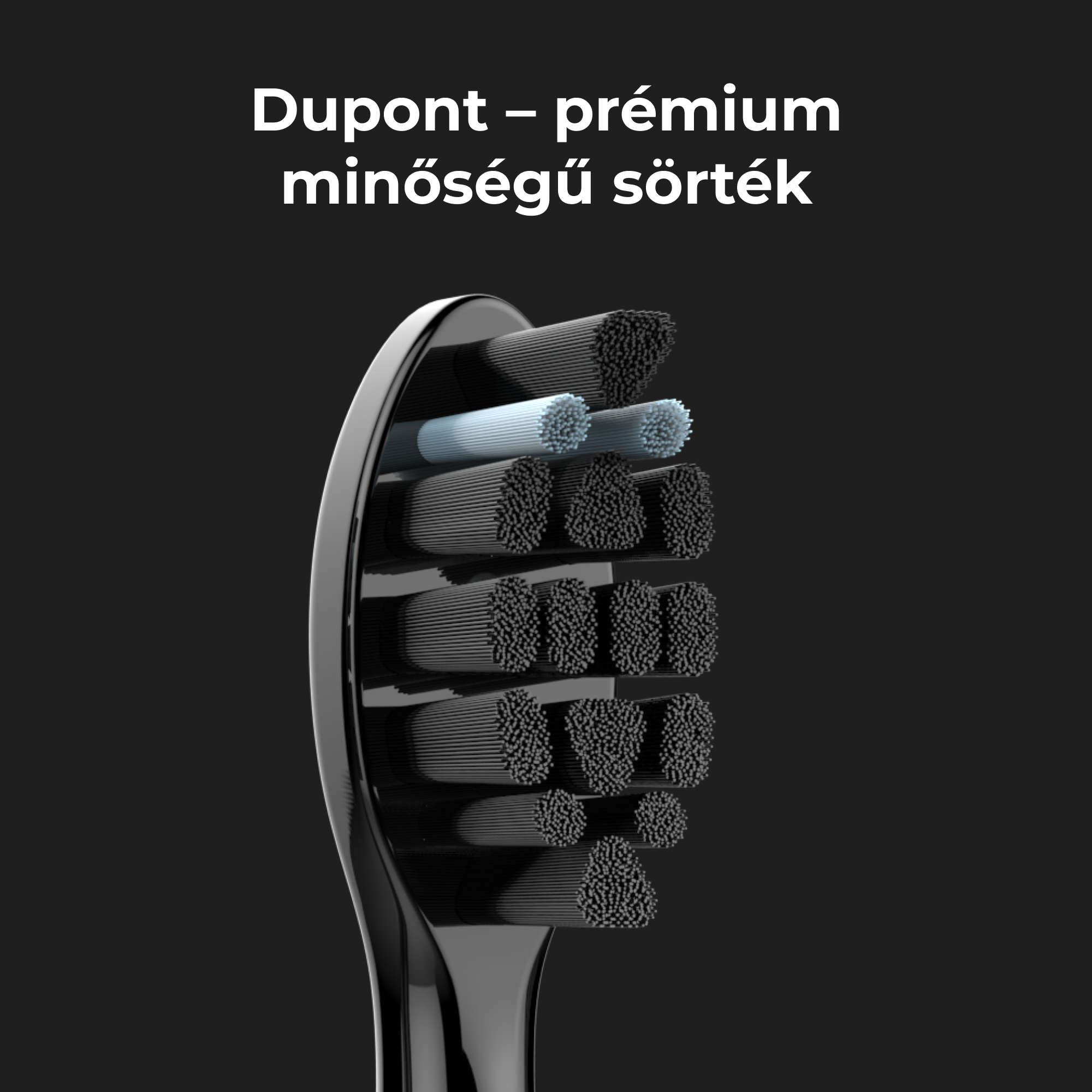 Fogkefefej közeli képe fekete és kék sörtékkel.