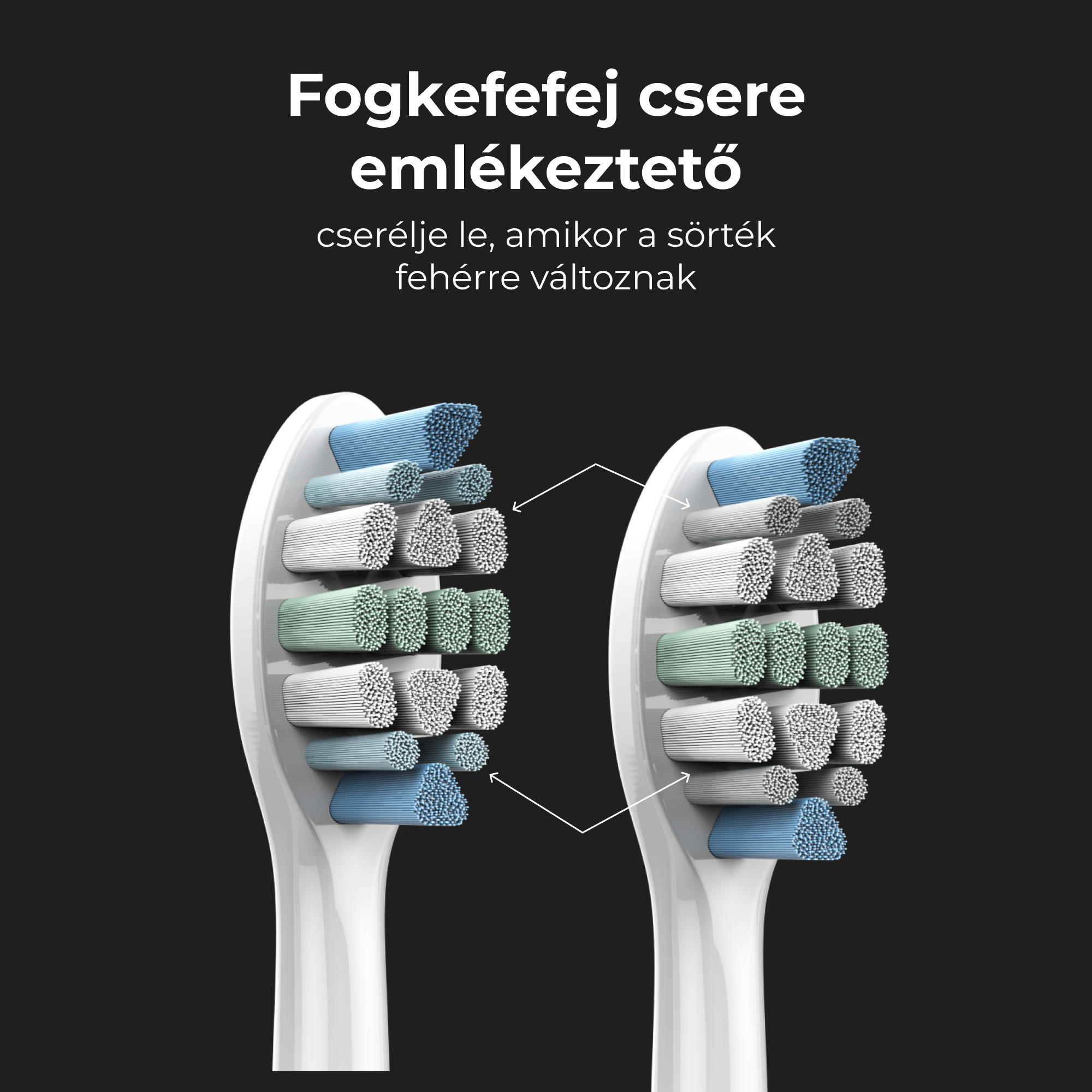 Fogkefefejek közelről feketén. A szöveg szerint mikor változnak a sörték színe.