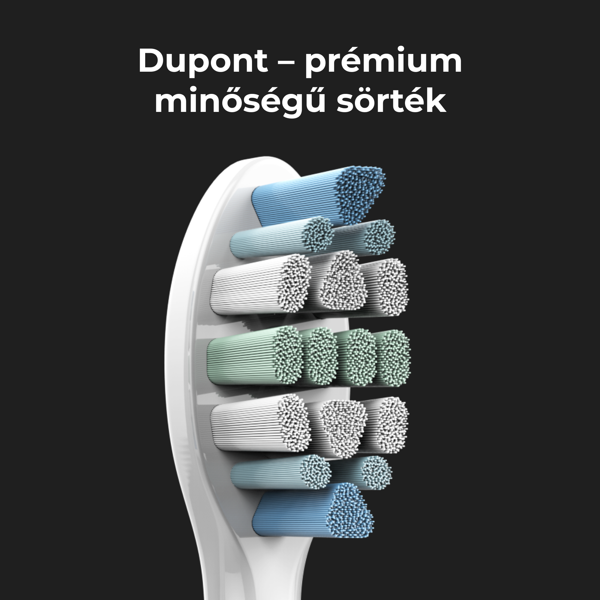 A fogkefe fejének közeli képe többszínű sörtékkel, a szöveg így szól: 'Dupont - prémium minőségű sörték'.