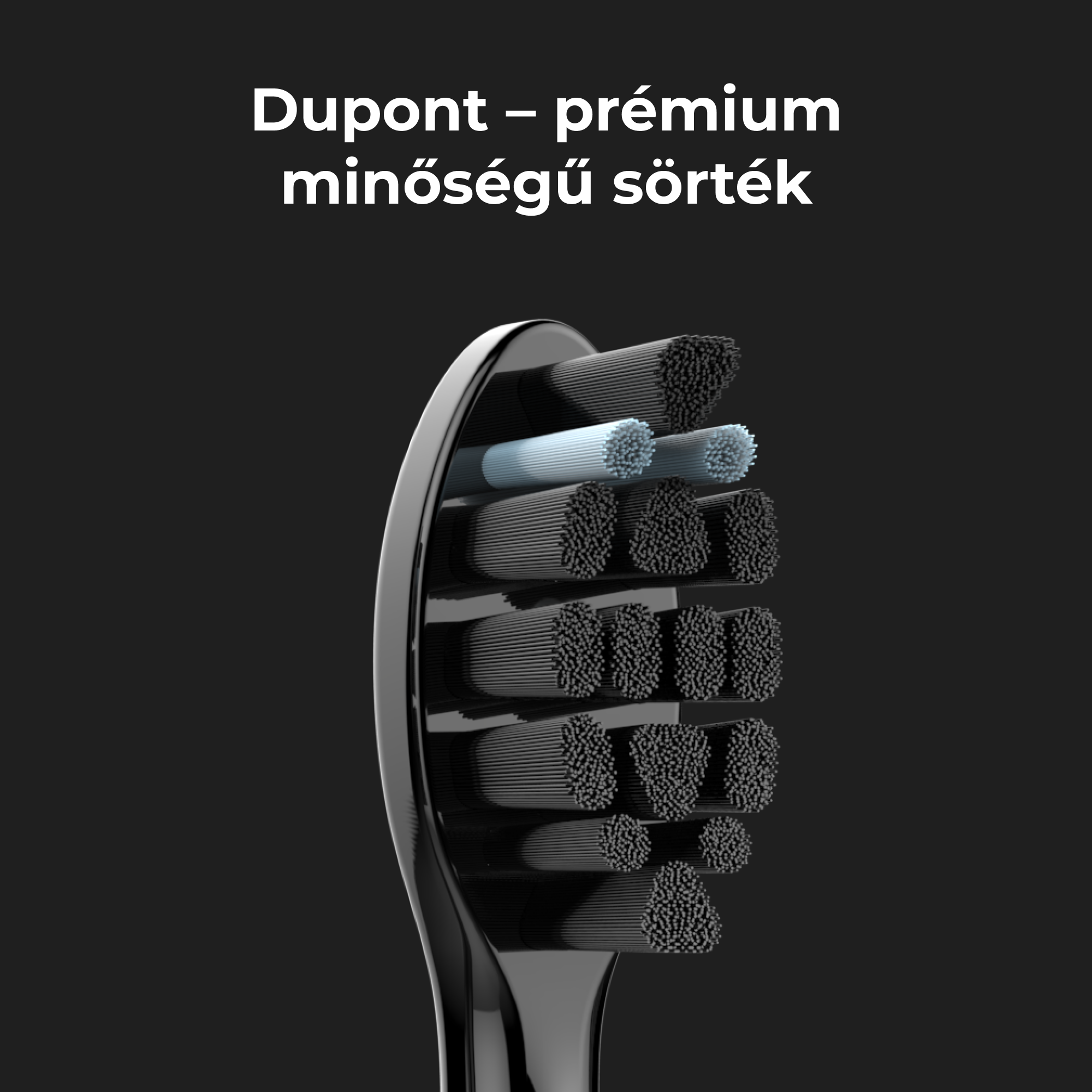 Közelkép egy fogkefefejről fekete sörtékkel és világoskék sörtékkel.