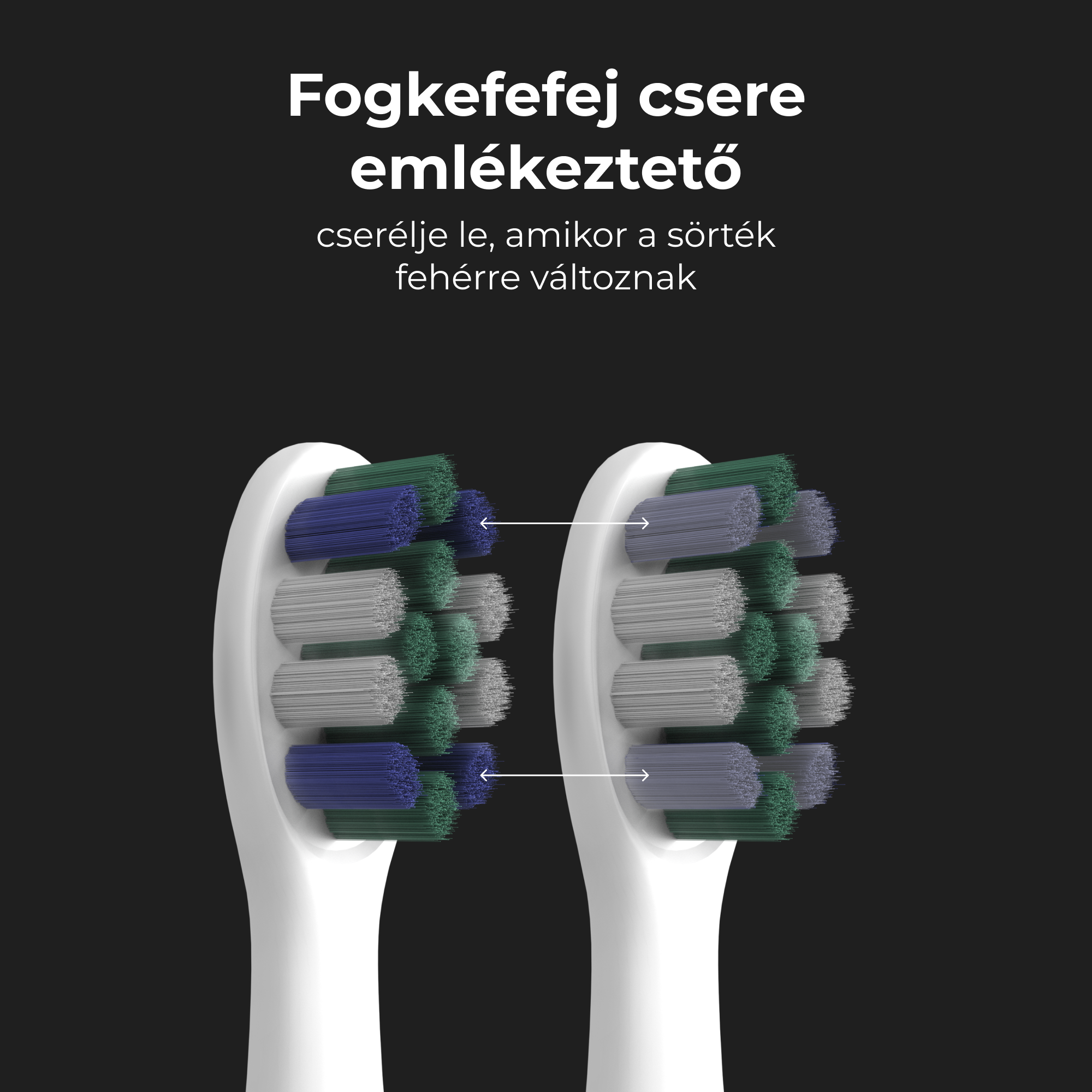 Két fogkefefej különböző színű sörtékkel, a sörtékre mutató nyilakkal.