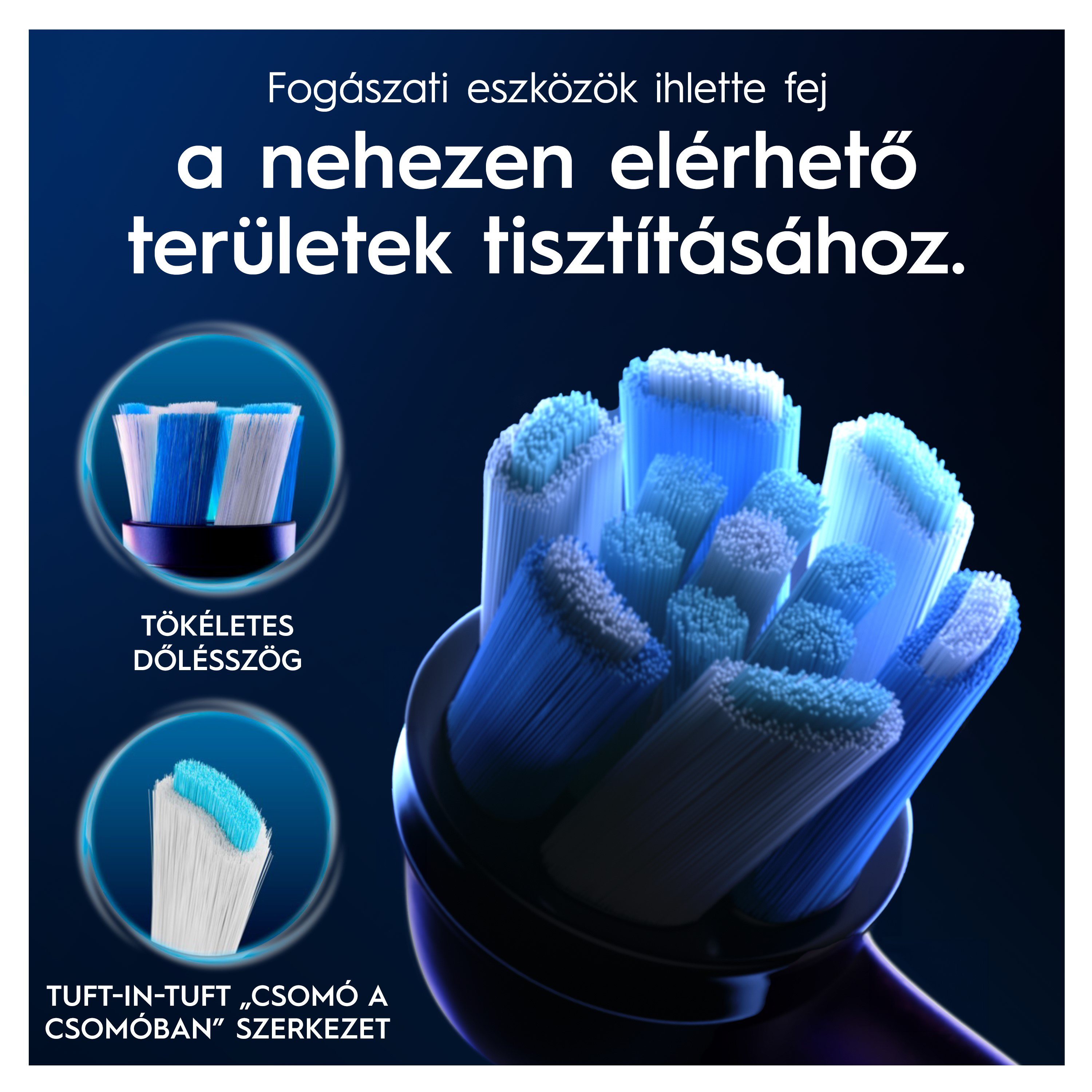 Fogkefefej közelről, kék-fehér sörtékkel. Magyar nyelvű szöveg.