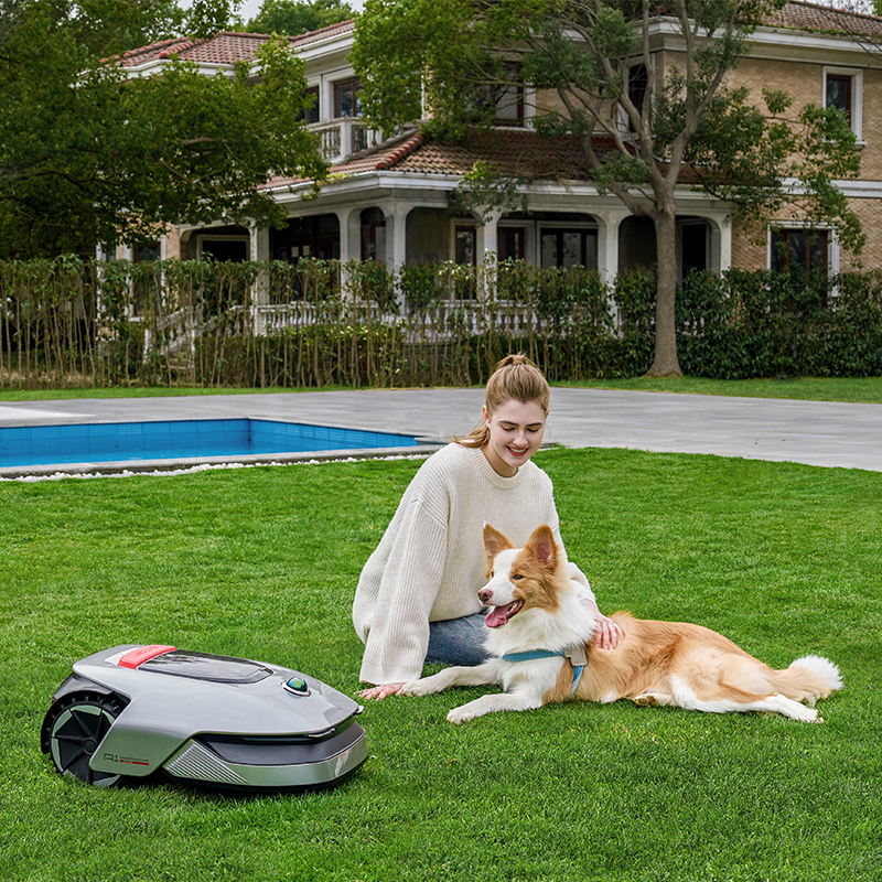Çimlerin üzerinde bir kadın ve bir köpek. Bir robot çim biçme makinesi var. Arka planda ev ve havuz.