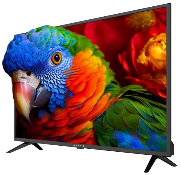 Telewizor z płaskim ekranem wyświetla kolorowy obraz papugi, pod kątem i na białym tle.