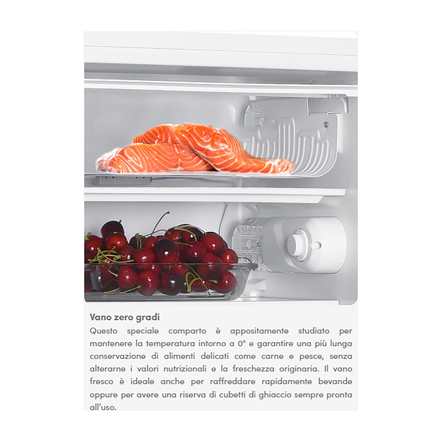 All'interno di un frigorifero con cibo. Salmone e ciliegie nel compartimento.