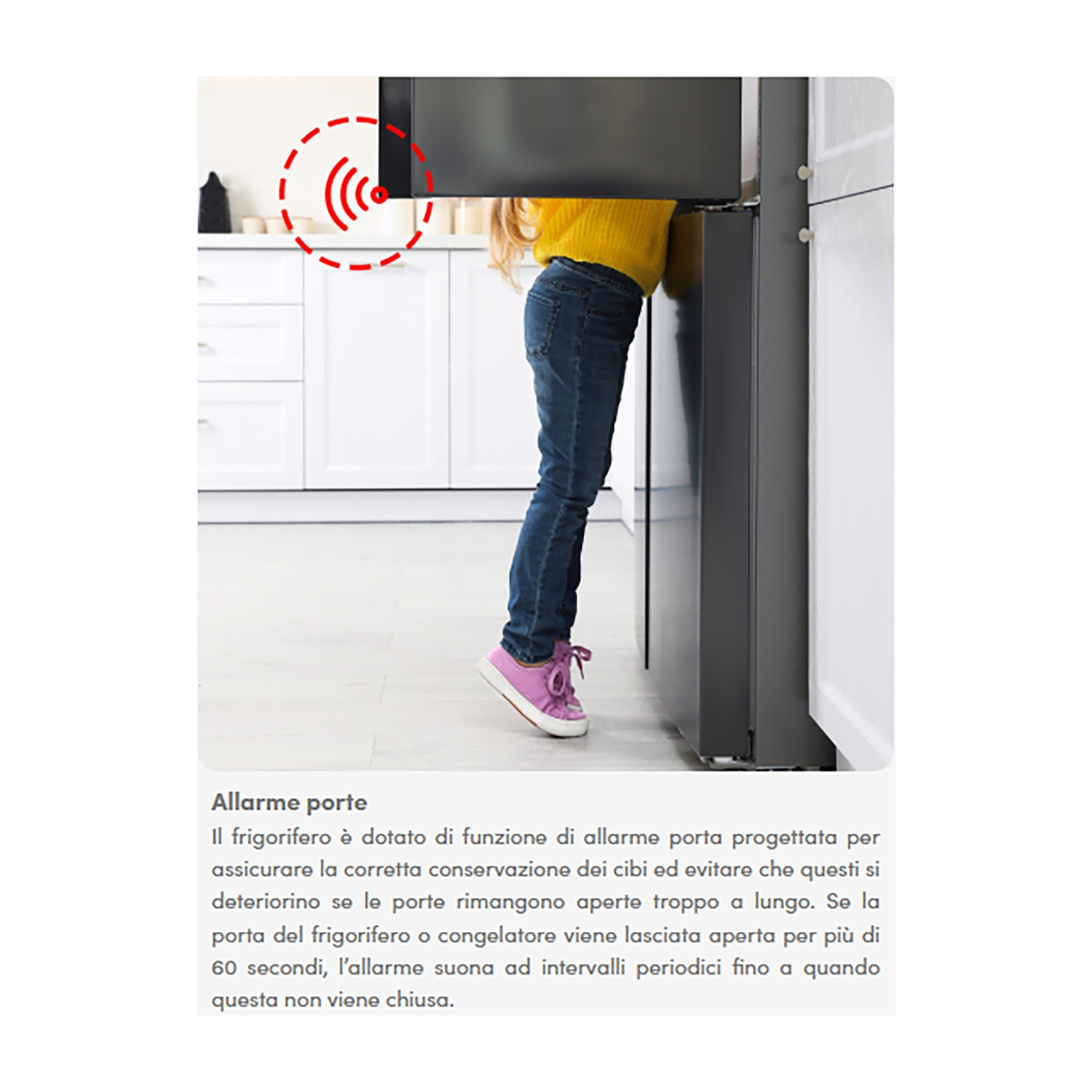 Ripiano In Vetro Per Congelatore Daewoo FRS-U20DBC – Larghezza 29,4 Cm – Usato