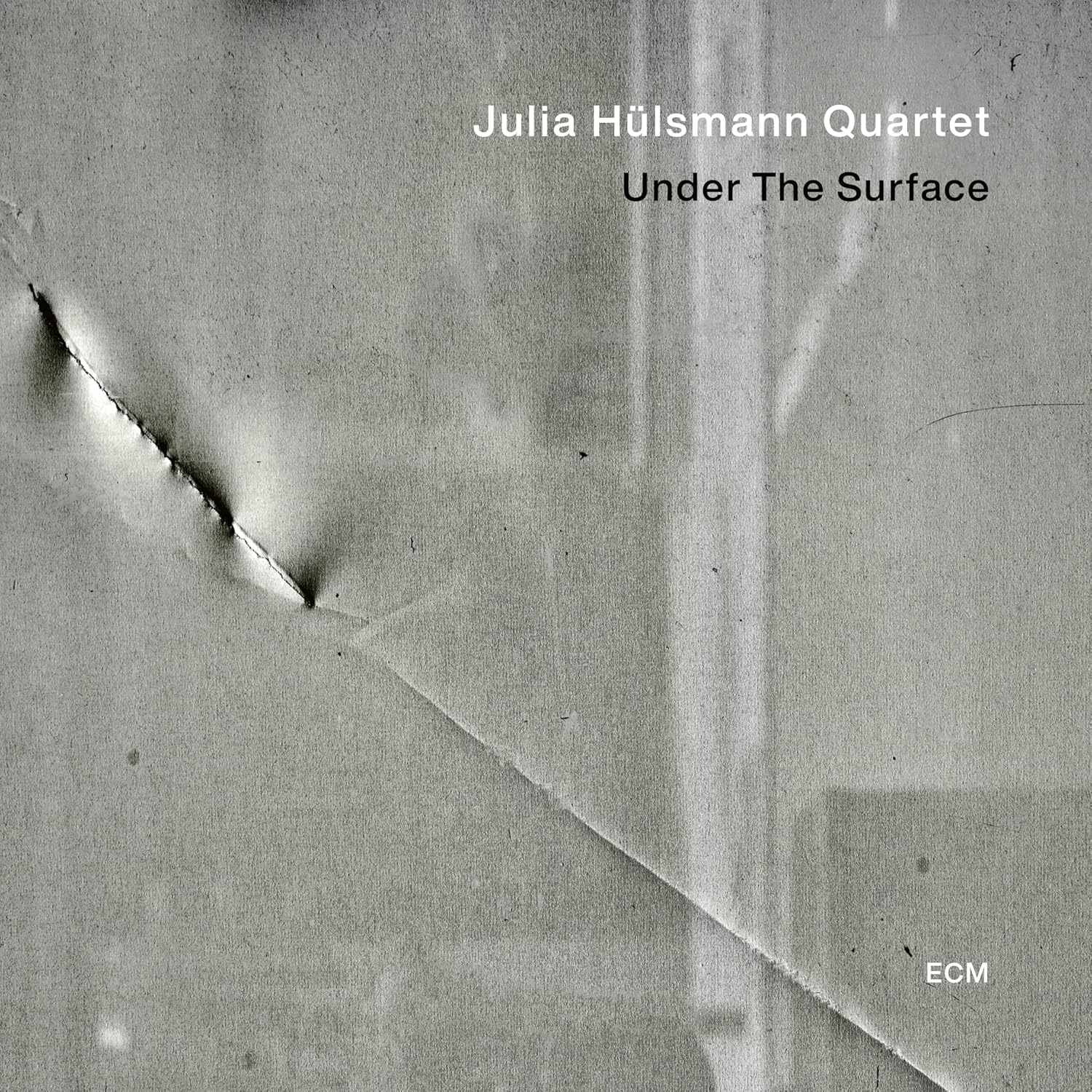 Julia Hülsmann Quartet - Under The Surface (CD)