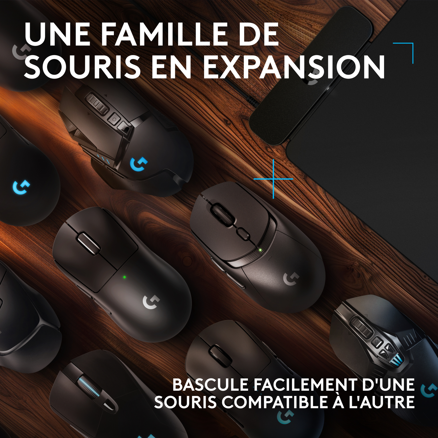 Plusieurs souris de jeu noires sont affichées sur une surface en bois.