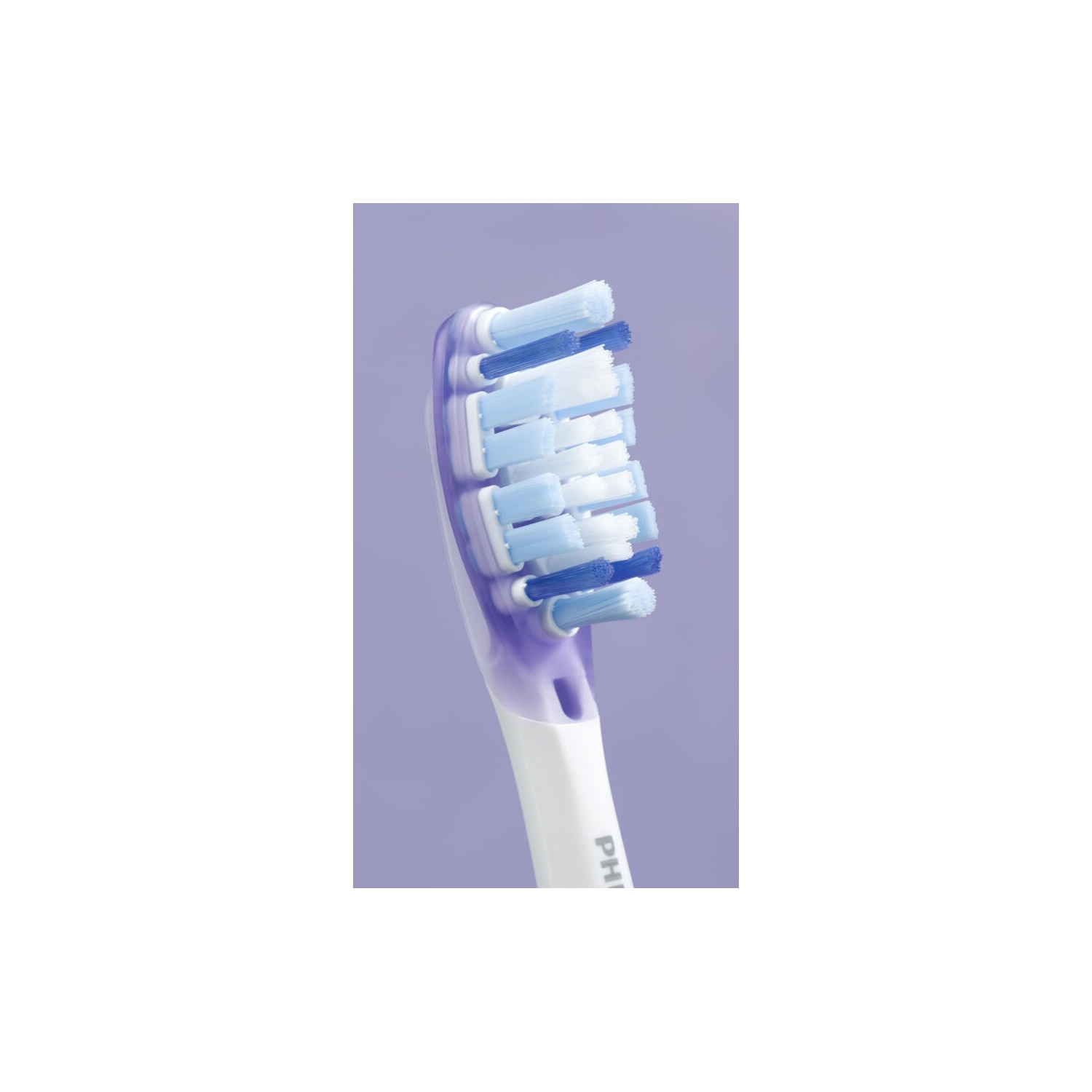 Close up of a toothbrush head with blue, white, and purple bristles. Purple background.