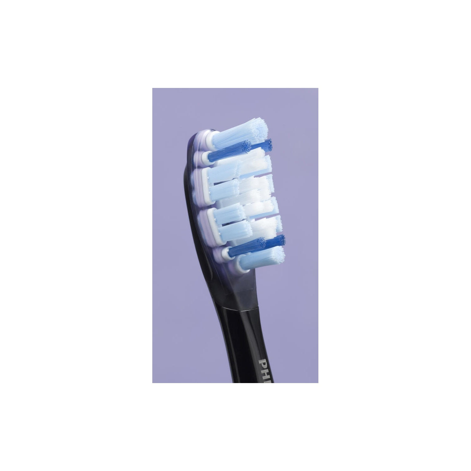 Close-up of a toothbrush head with blue and white bristles. The bristles are dense and clean.