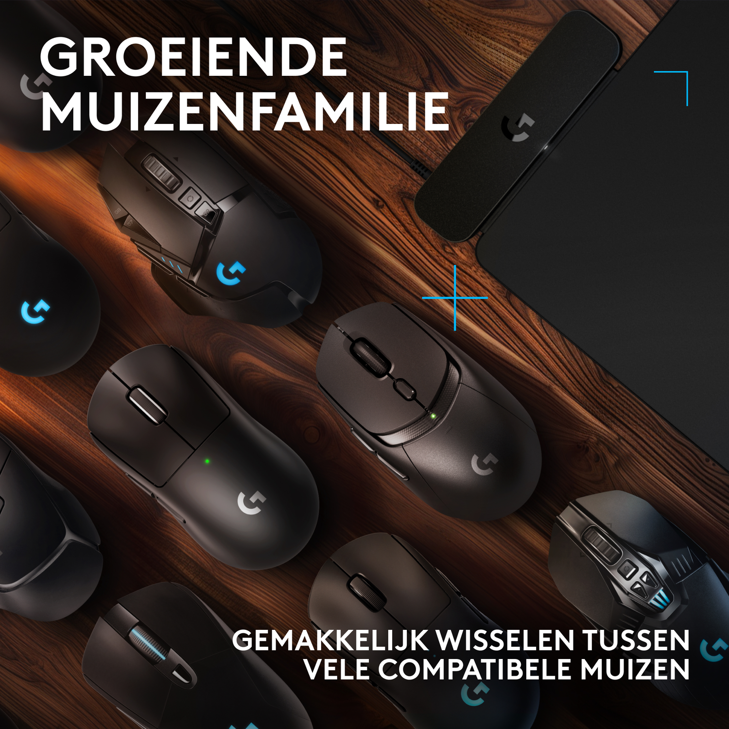 Multiple black computer mice on a wooden surface, with a black pad. Text: Groeiende muizenfamilie, gemakkelijk wisselen.