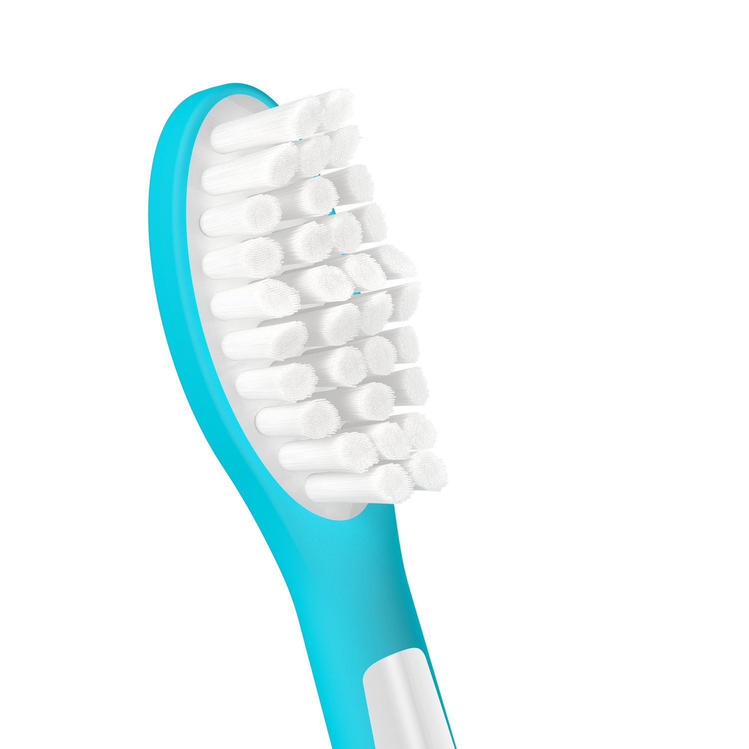 Close-up van blauwe tandenborstelkop met witte borstelharen, tegen witte achtergrond.