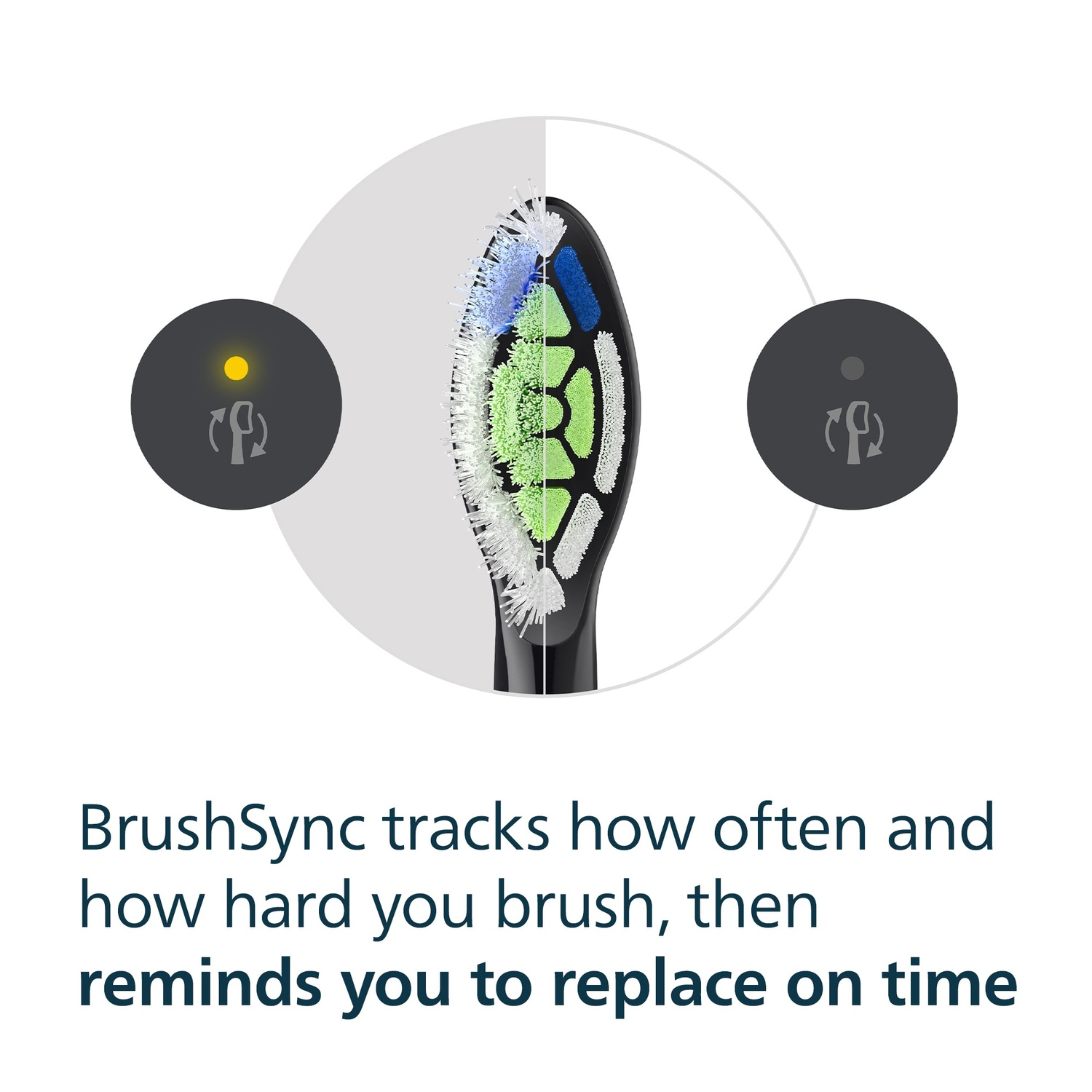 Toothbrush head with bristles, two circles with icons, text about tracking brushing habits and replacement reminders.