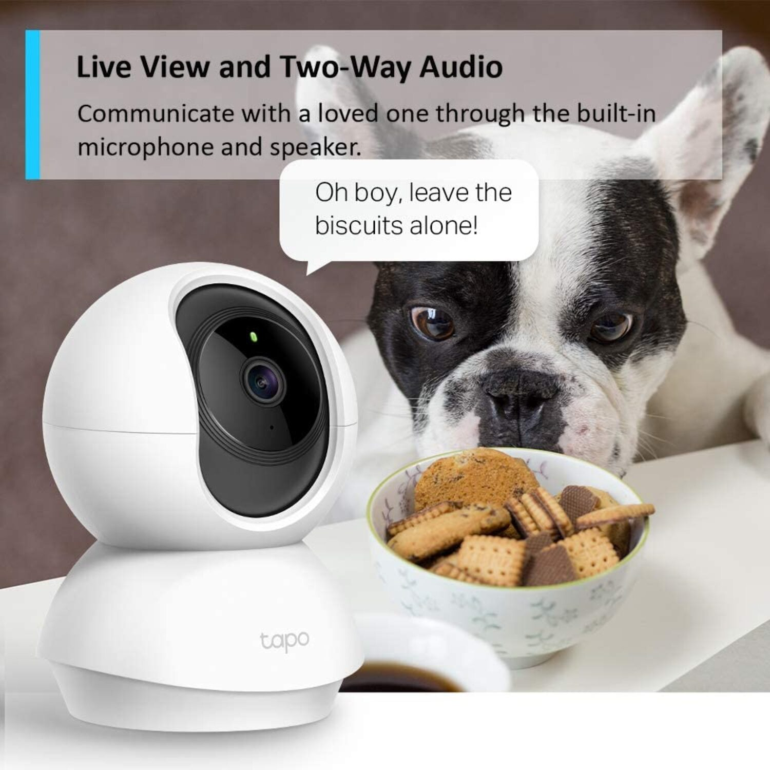 A security camera next to a bowl of biscuits, and a dog's face peering over the bowl with a speech bubble: 'Oh boy, leave the biscuits alone!'