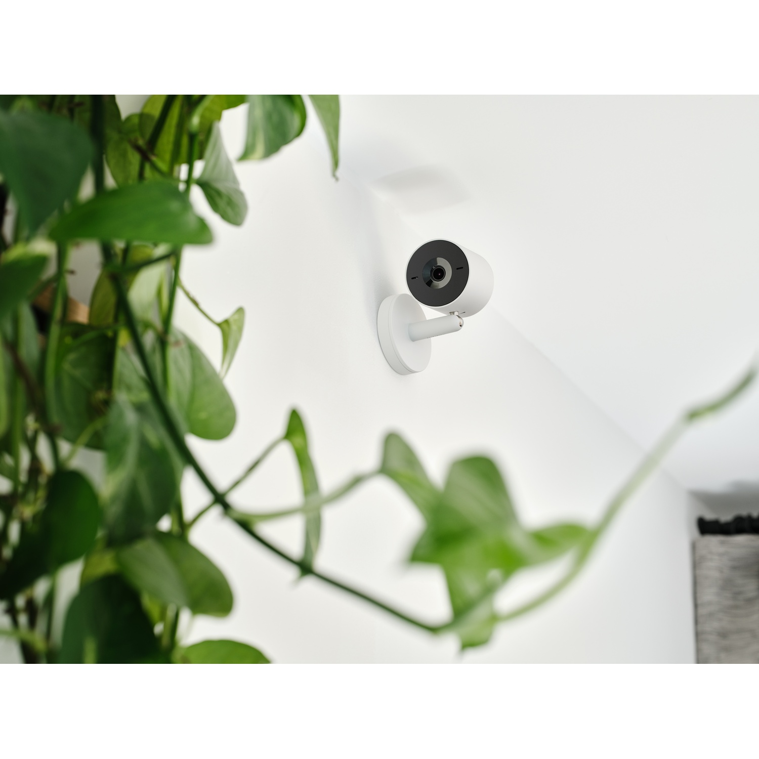 Telecamera di sicurezza montata su un muro, con una pianta in primo piano.