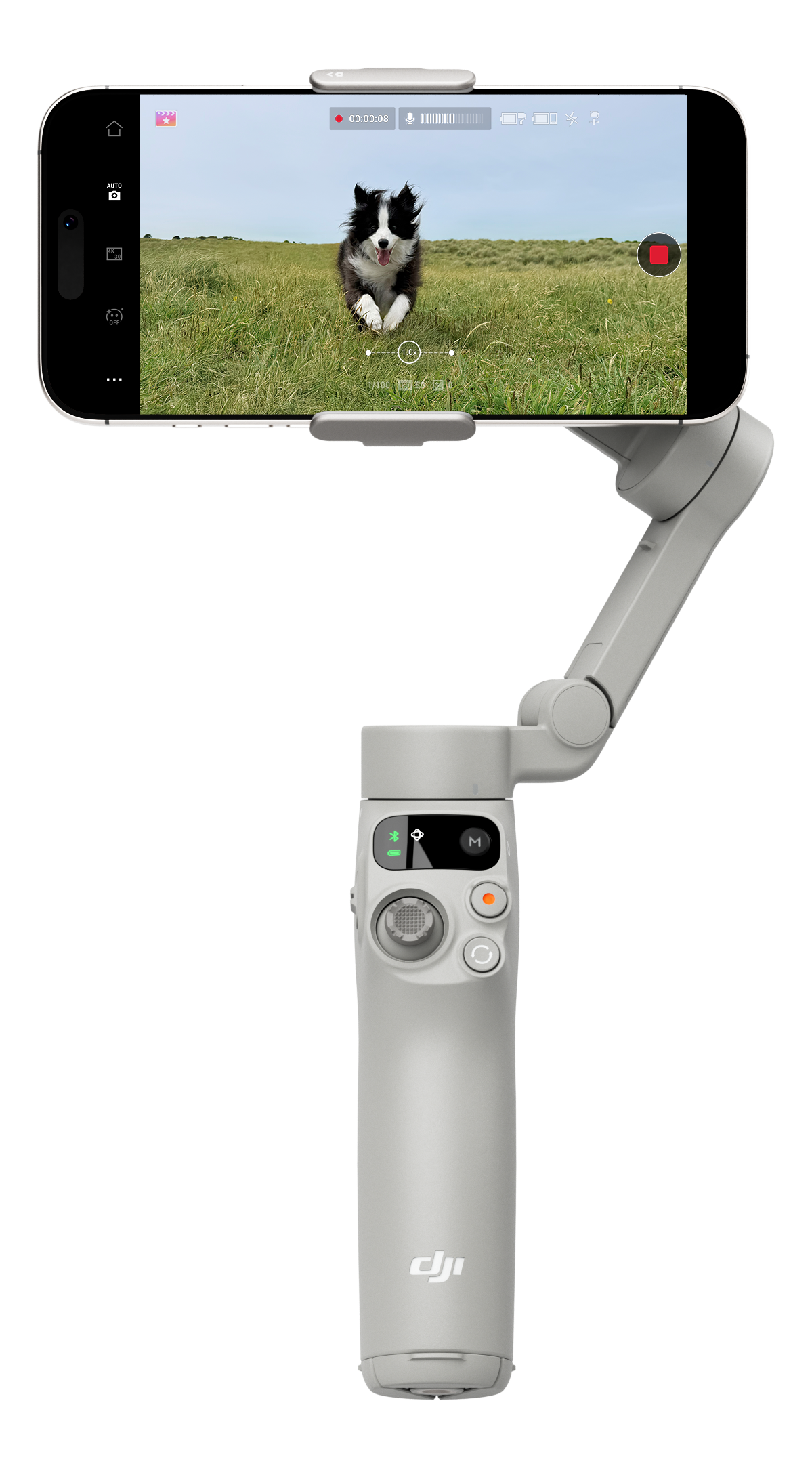 Un smartphone dans un gimbal filmant un chien noir et blanc courant sur l'herbe.
