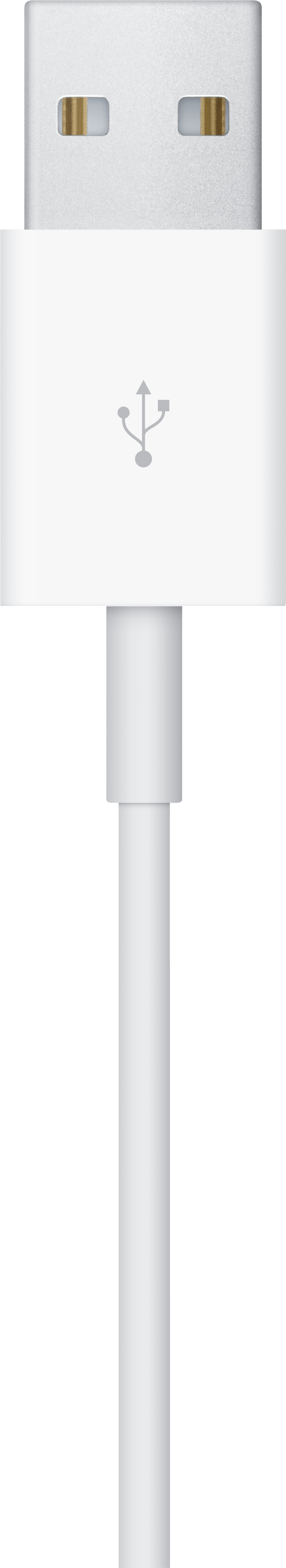Un câble USB blanc avec un connecteur USB-A en haut et un câble lisse.