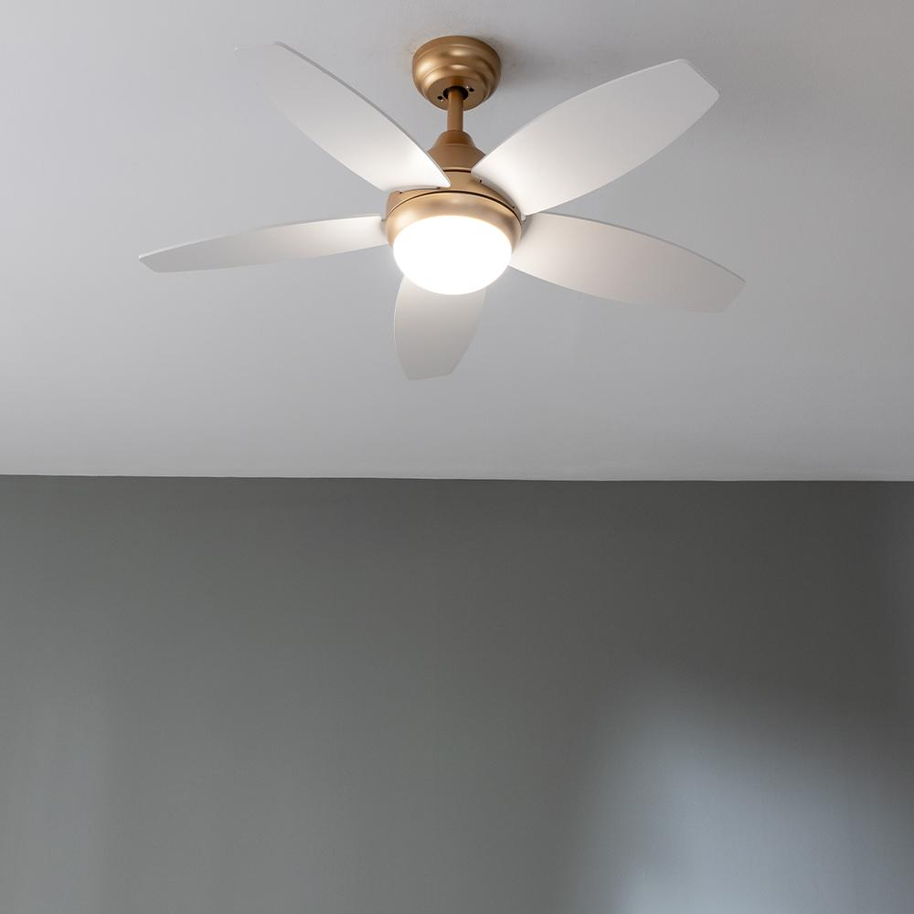 Un ventilador de techo con cinco aspas blancas y carcasa dorada.